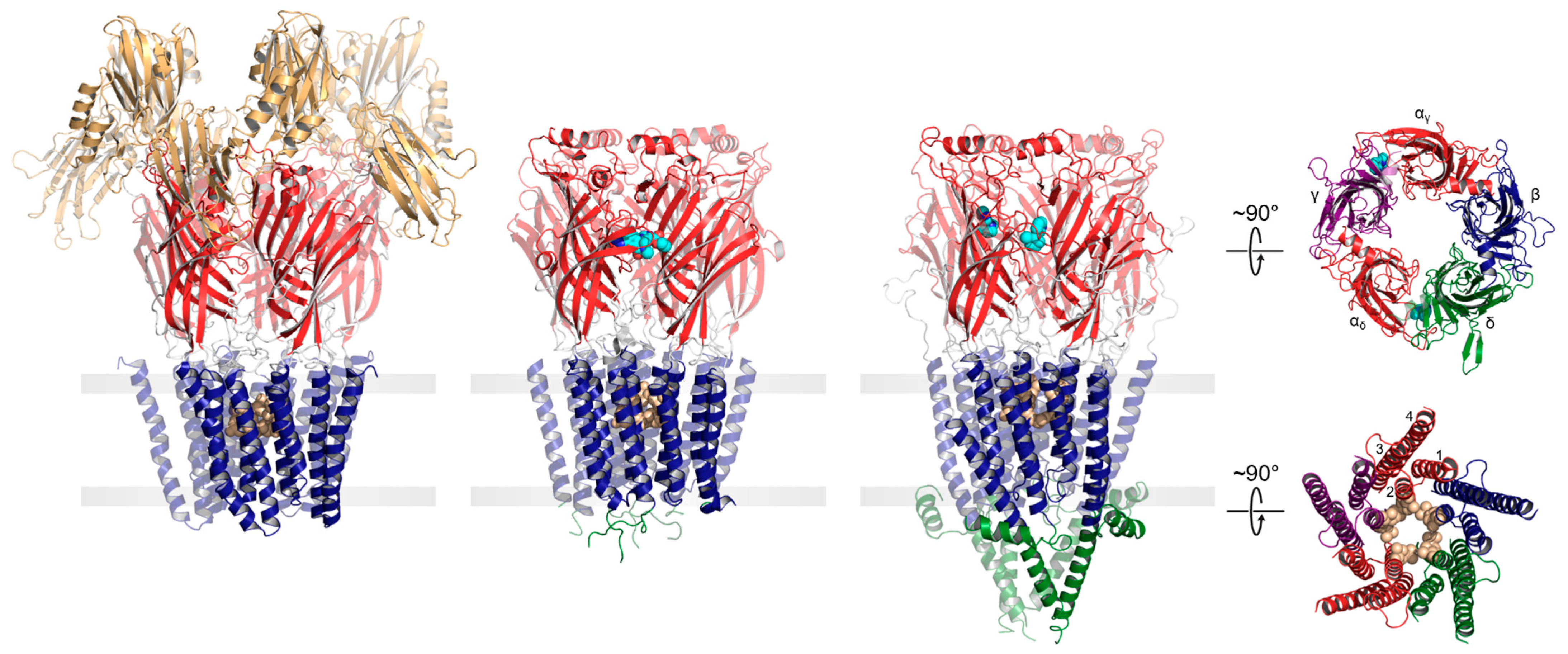 Biomolecules 12 00814 g001