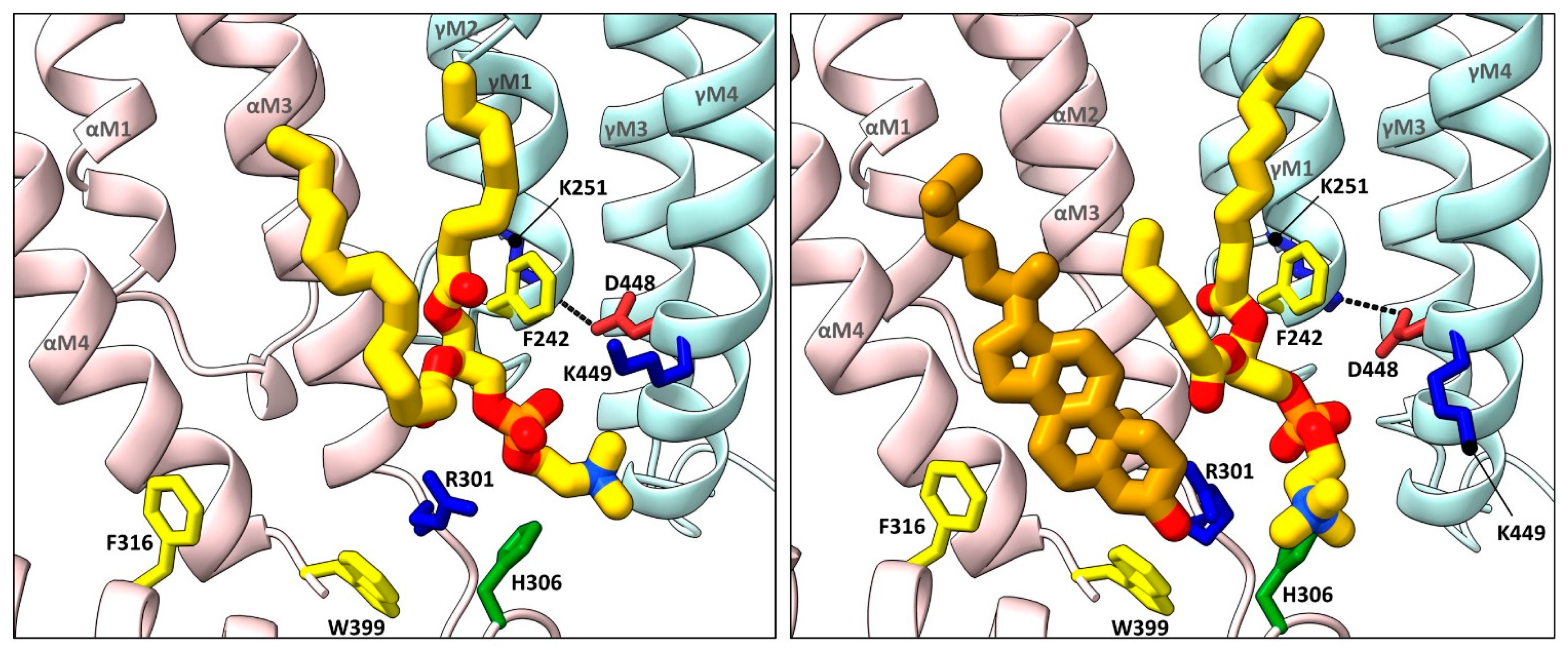 Biomolecules 12 00814 g003