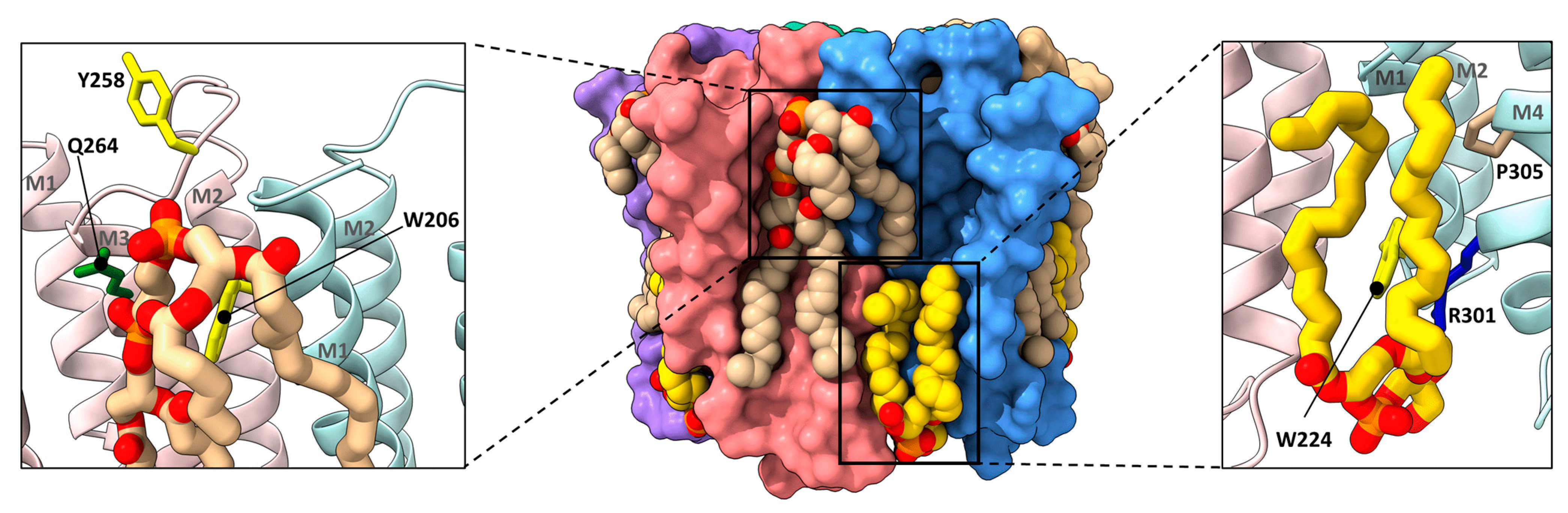 Biomolecules 12 00814 g006