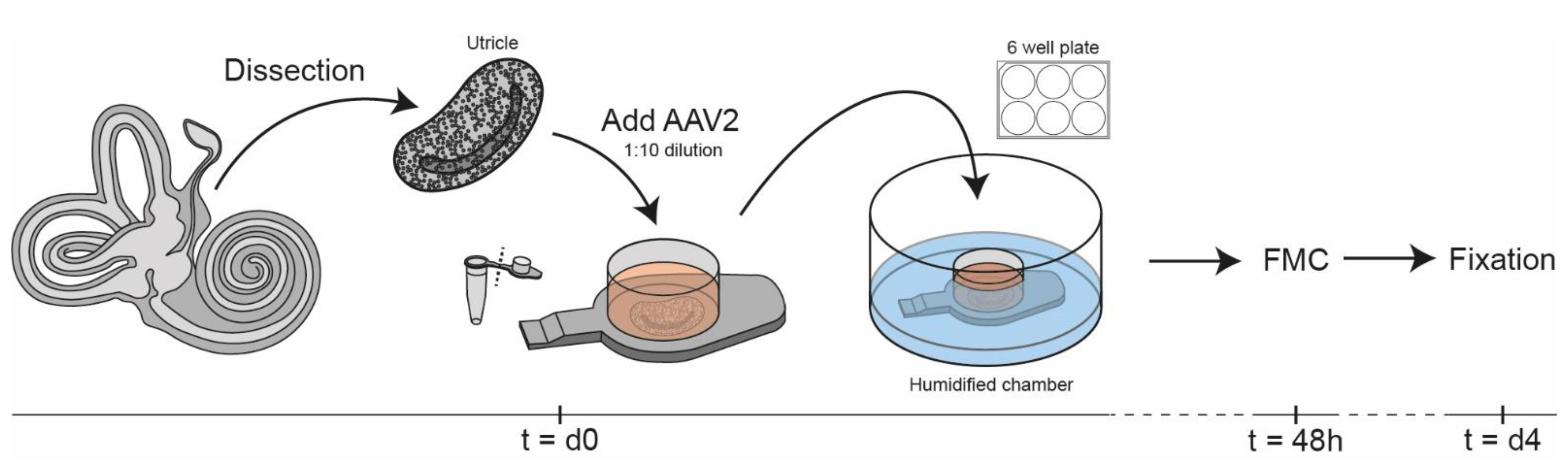 Biomolecules 12 00816 g003 Biomolecules 12 00816 g003