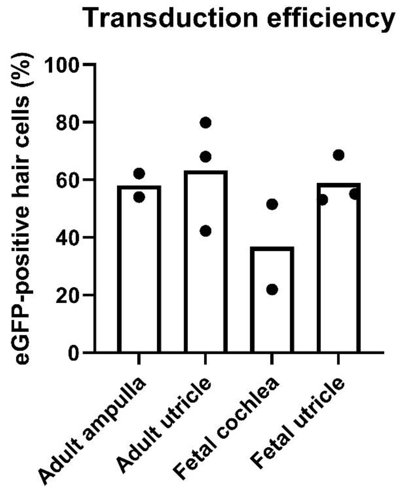 Biomolecules 12 00816 g007 Biomolecules 12 00816 g007