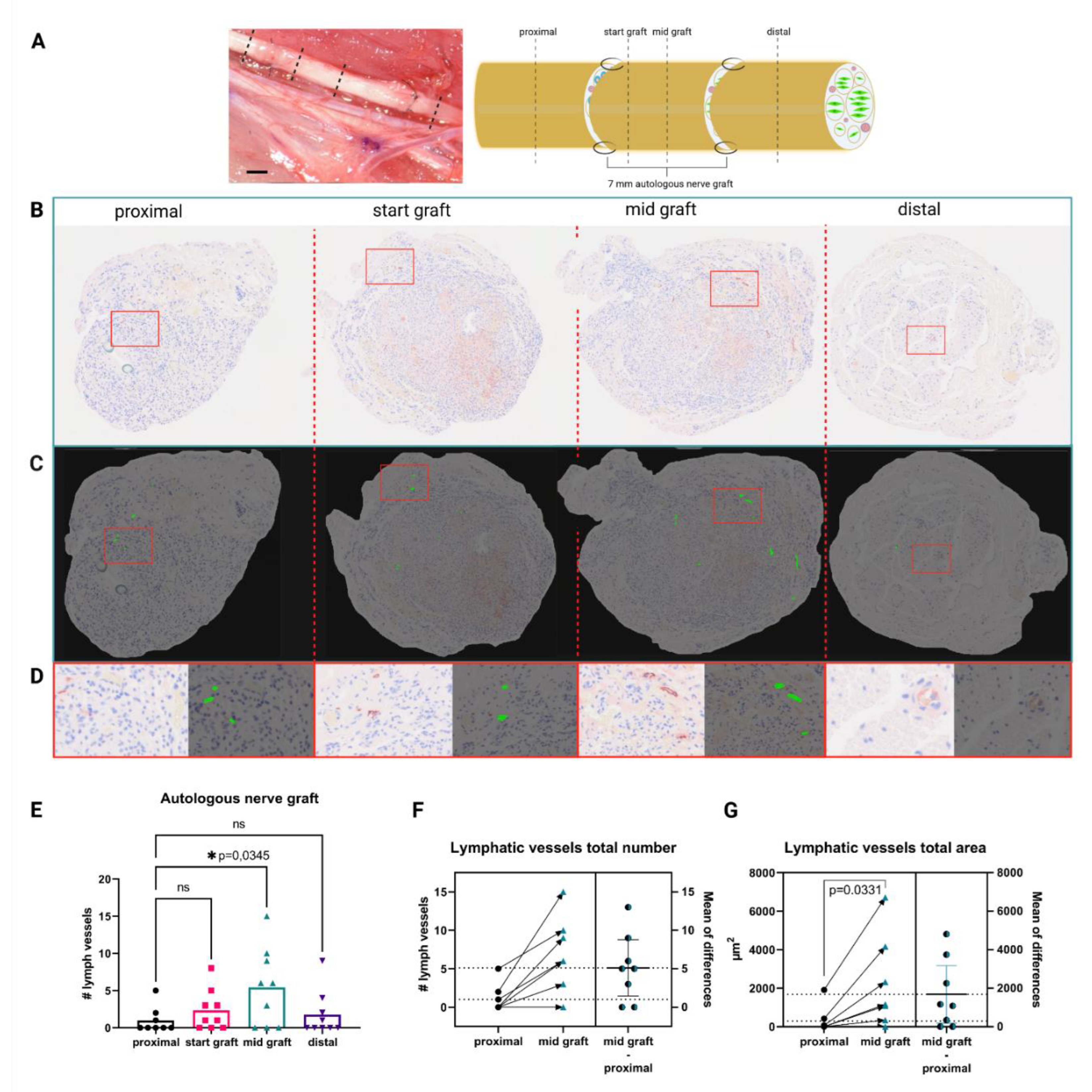 Biomolecules 12 00820 g001