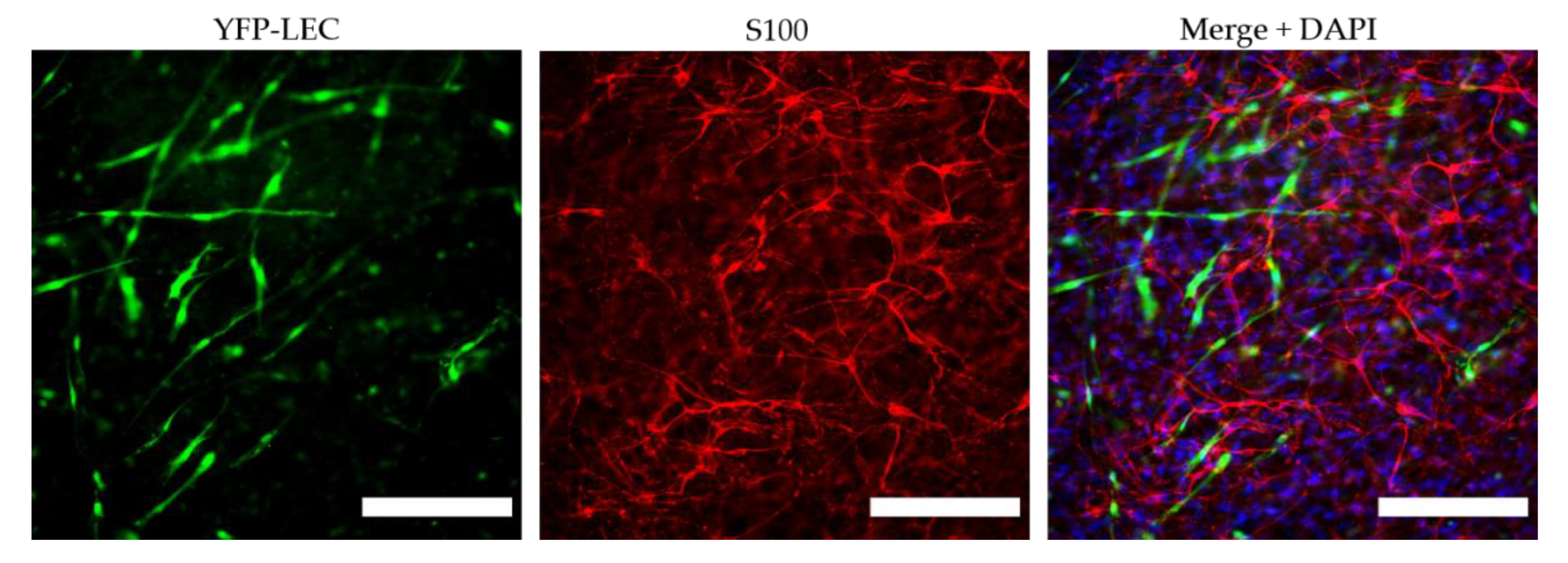 Biomolecules 12 00820 g009