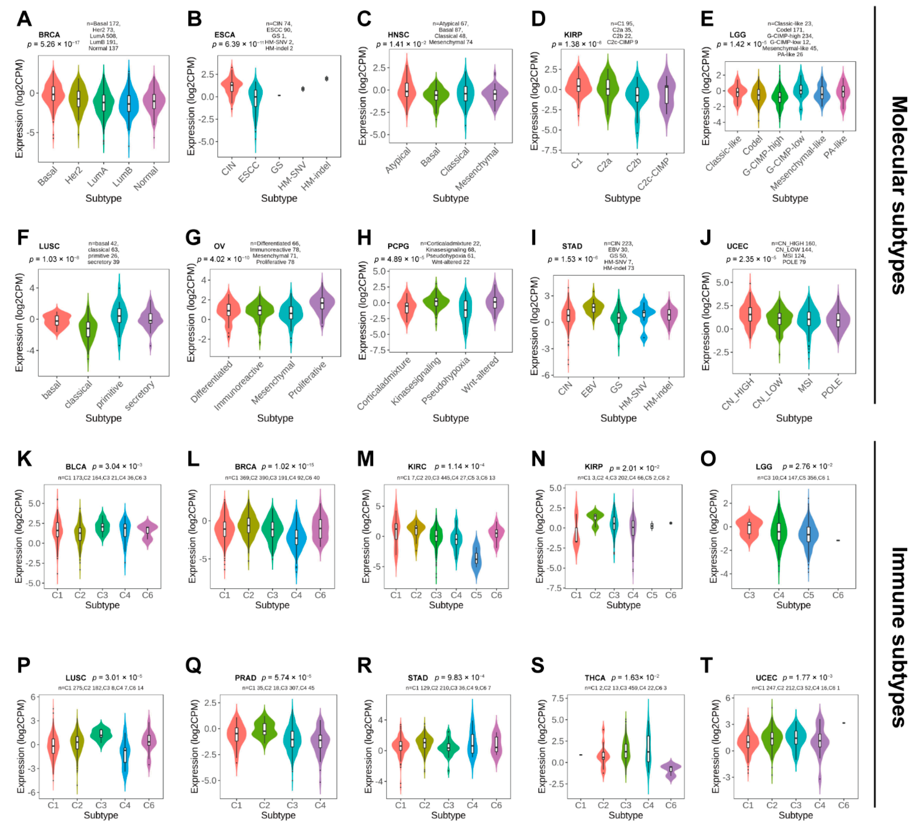 Biomolecules 12 00822 g004