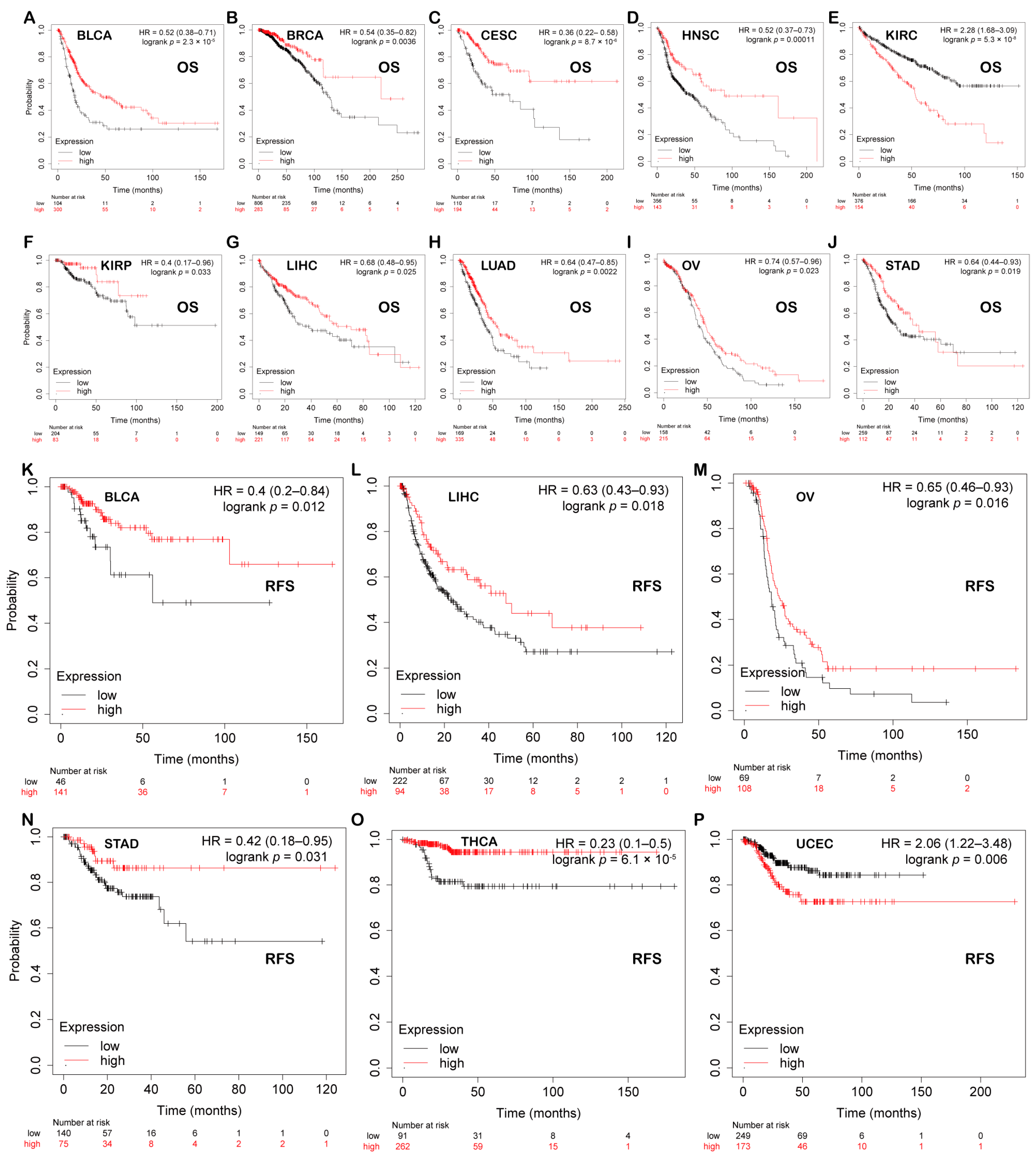 Biomolecules 12 00822 g005