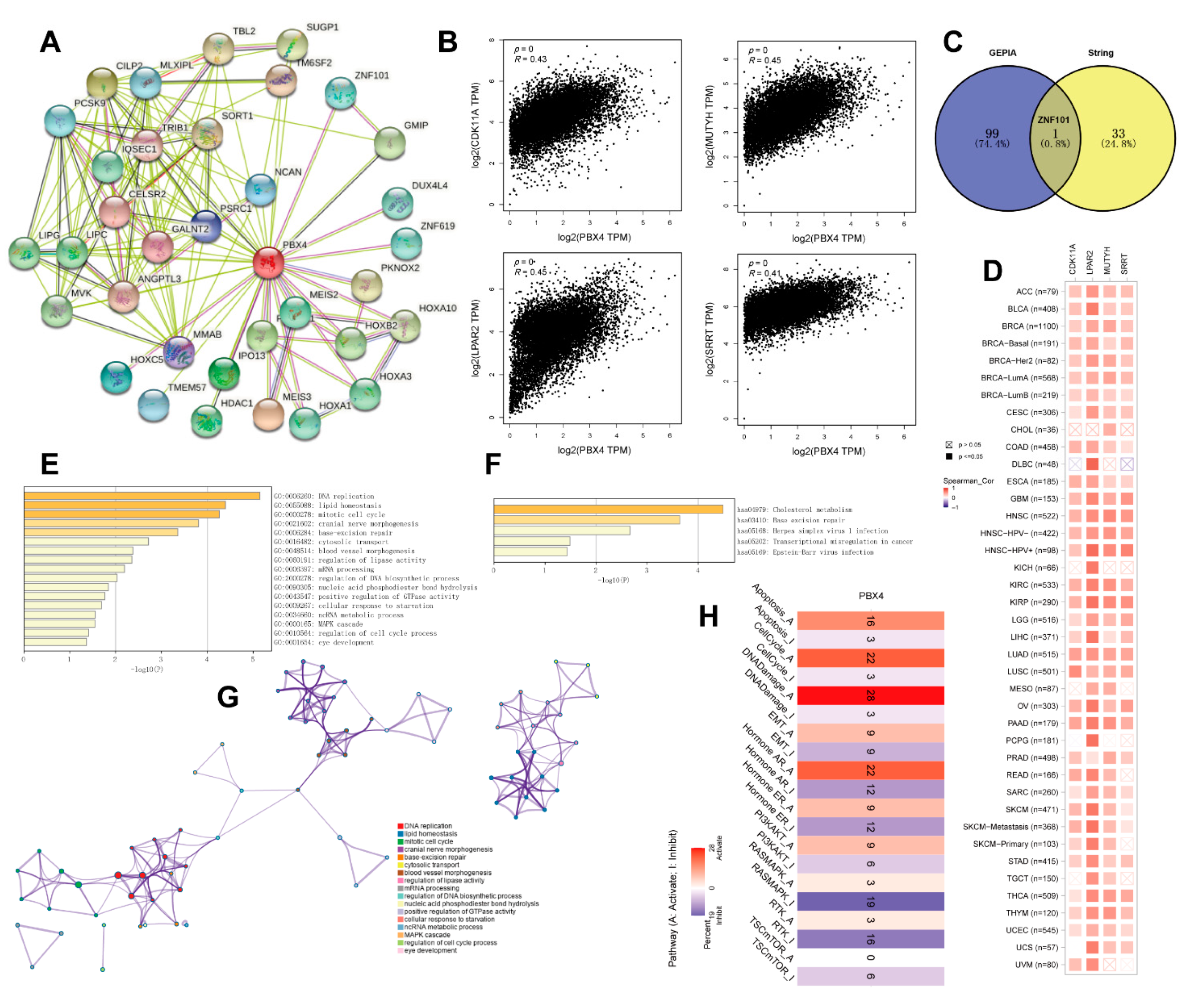 Biomolecules 12 00822 g010