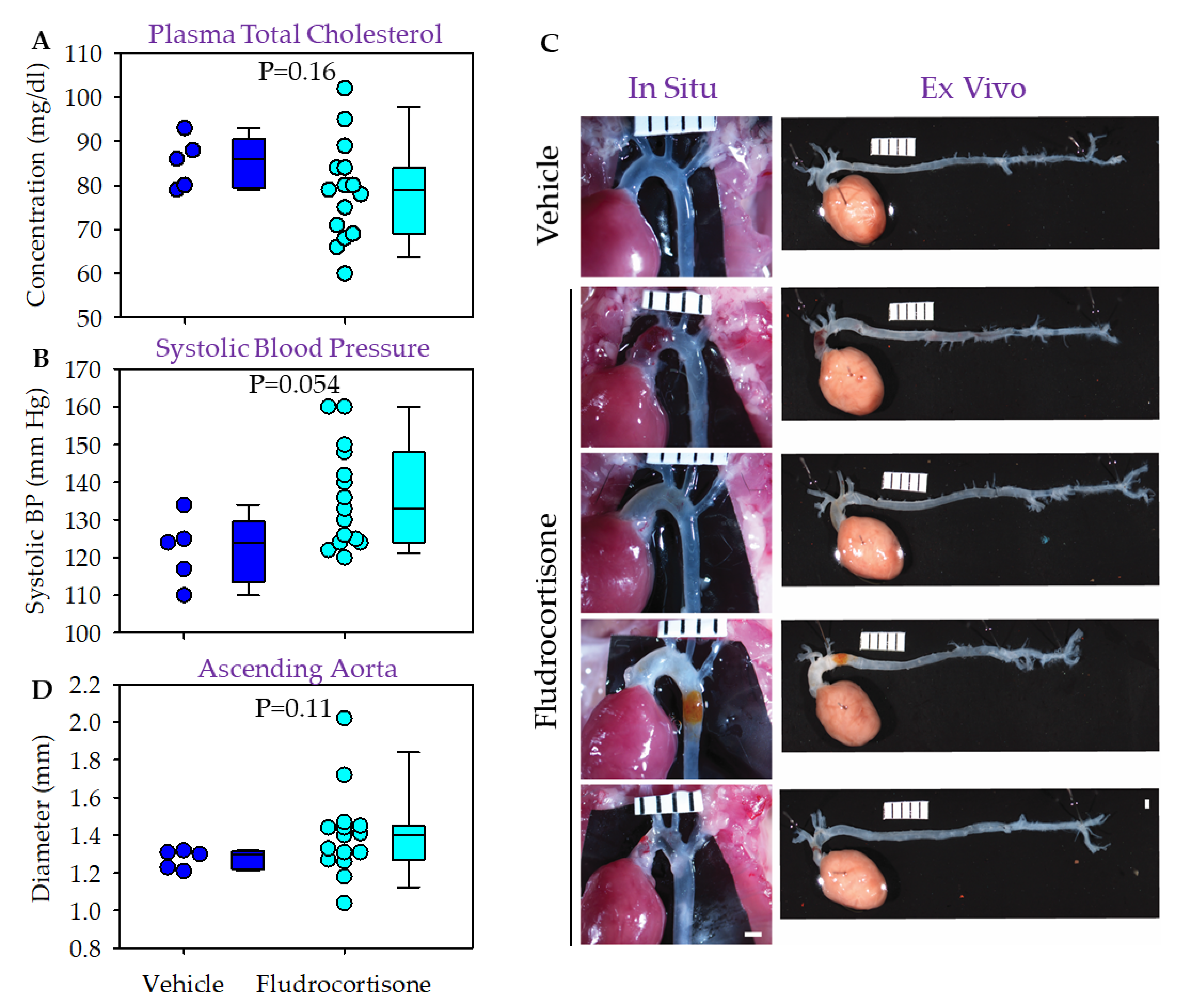 Biomolecules 12 00825 g002