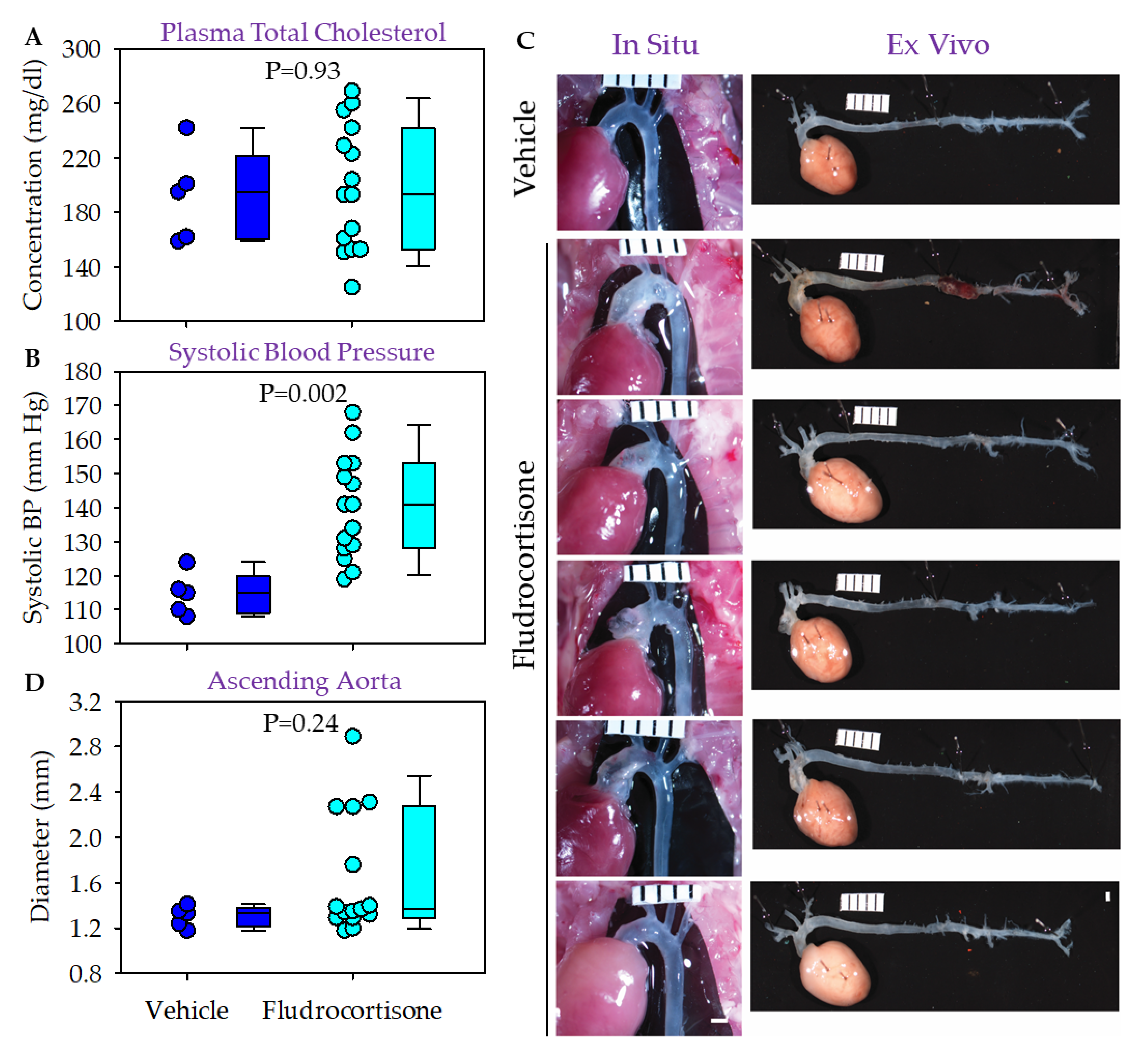 Biomolecules 12 00825 g004