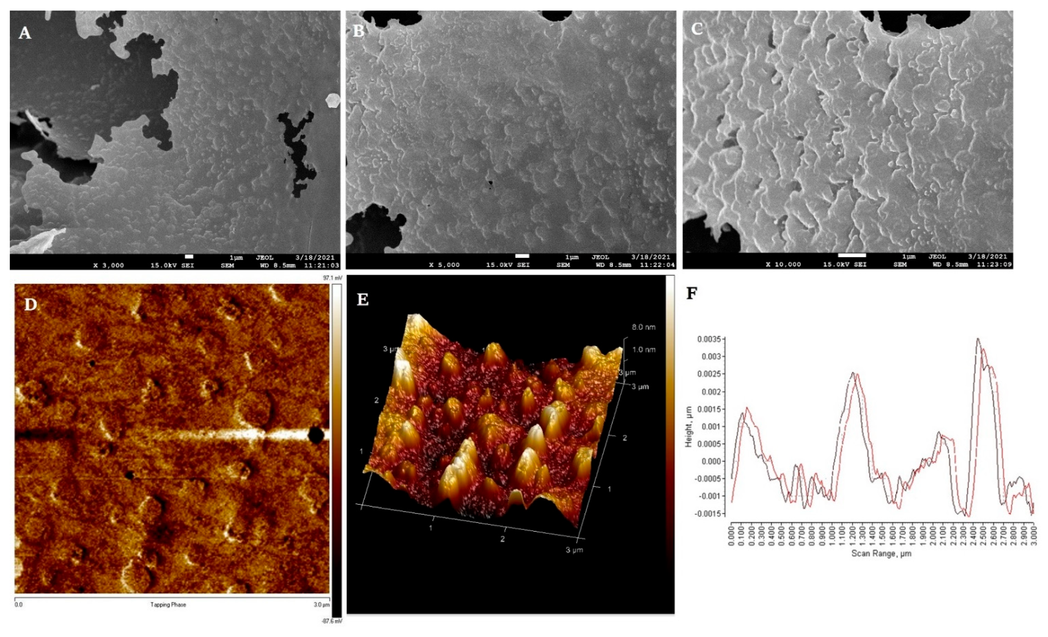 Biomolecules 12 00834 g004