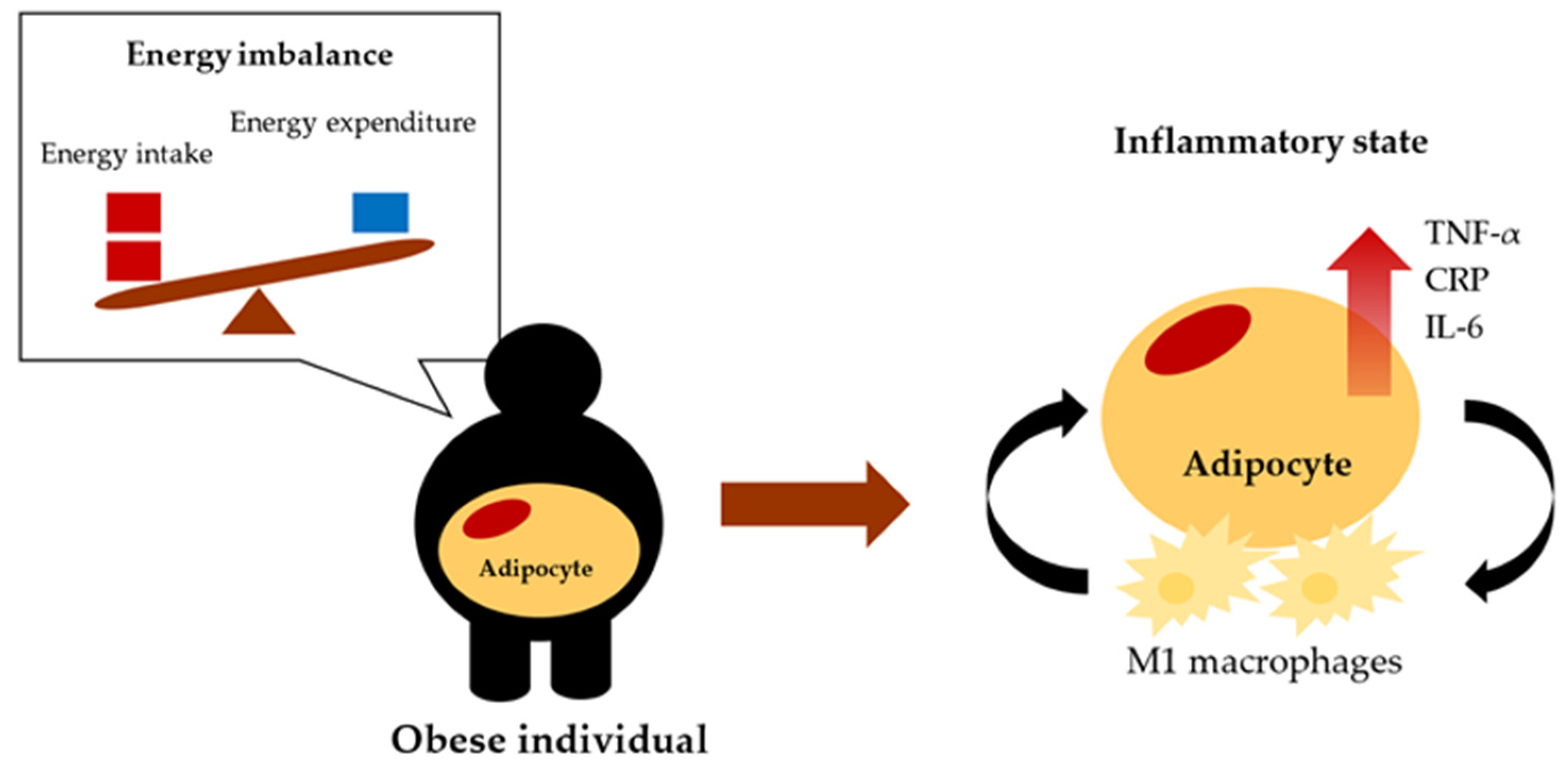 Biomolecules 12 00852 g001