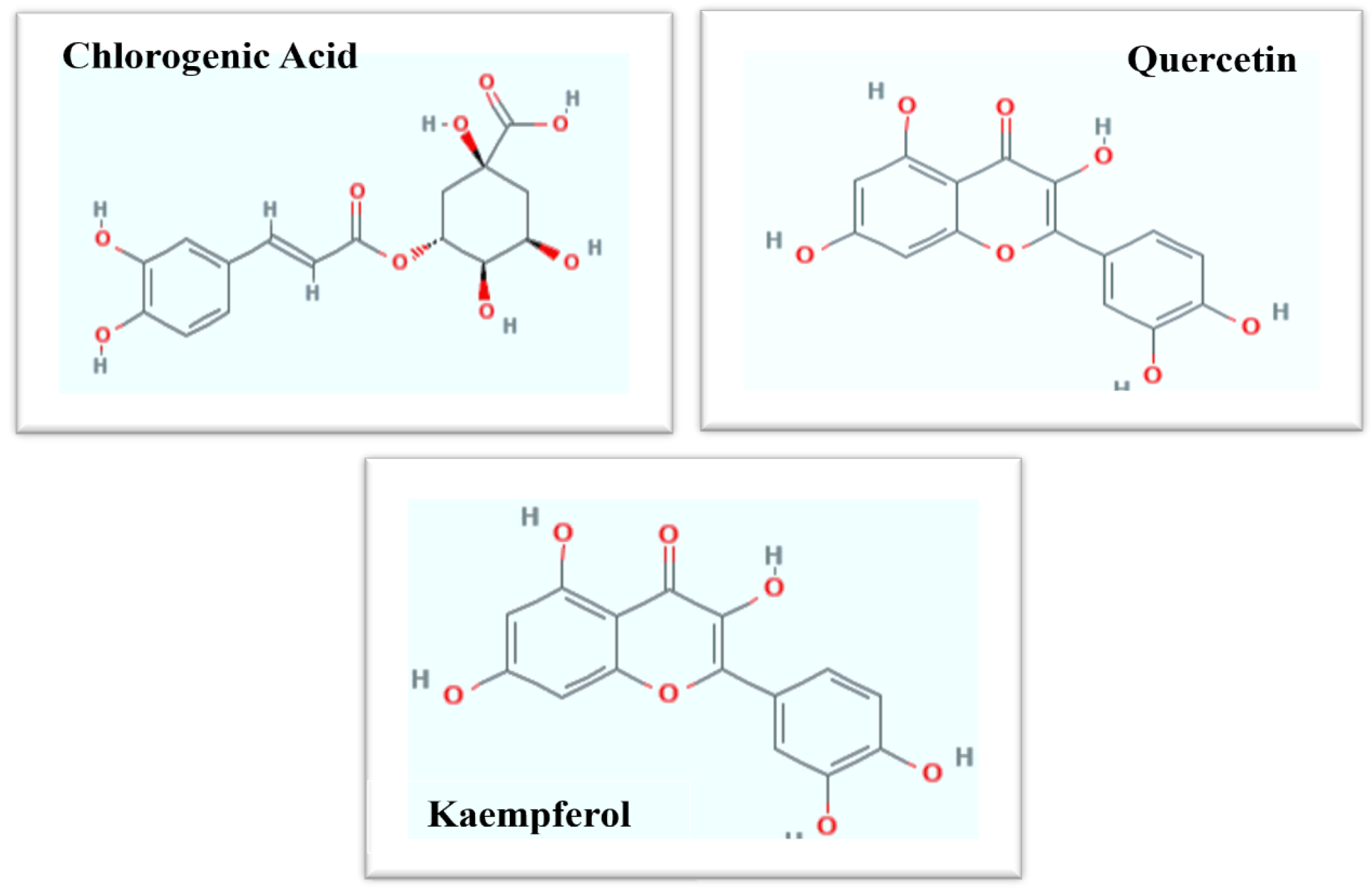 Biomolecules 12 00855 g004