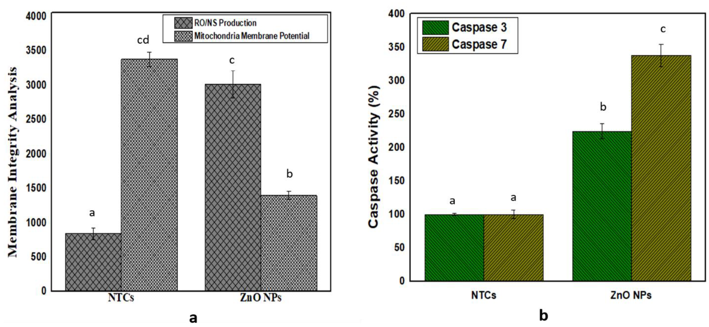 Biomolecules 12 00855 g008