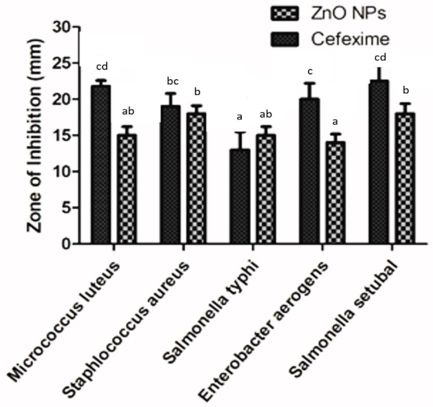 Biomolecules 12 00855 g009