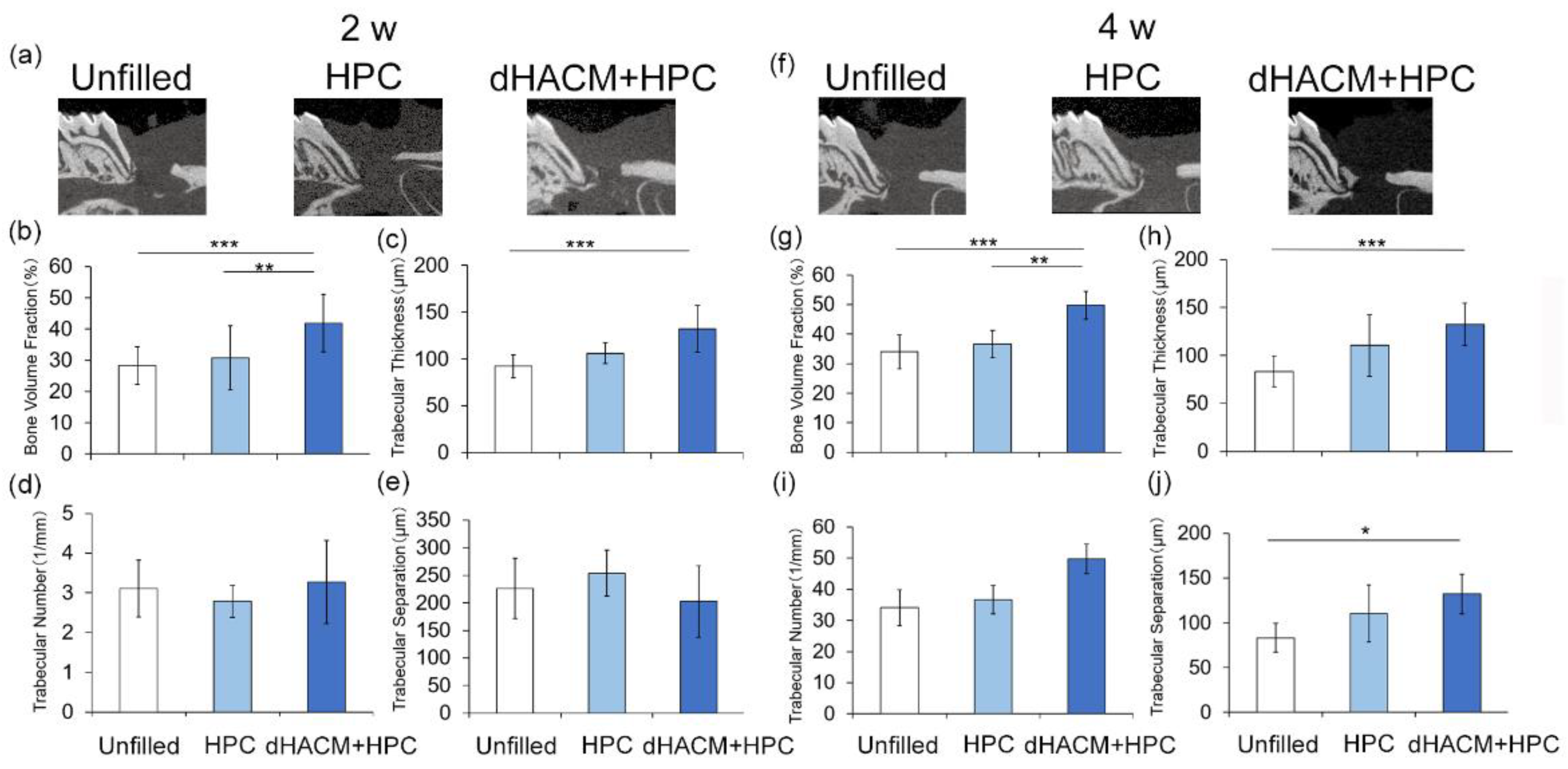 Biomolecules 12 00857 g001