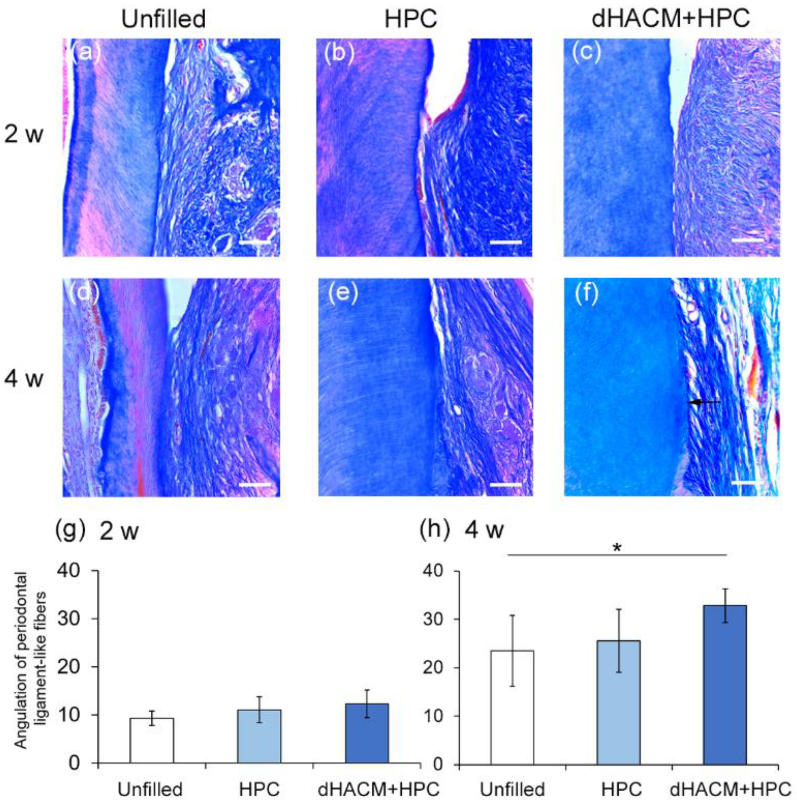 Biomolecules 12 00857 g004