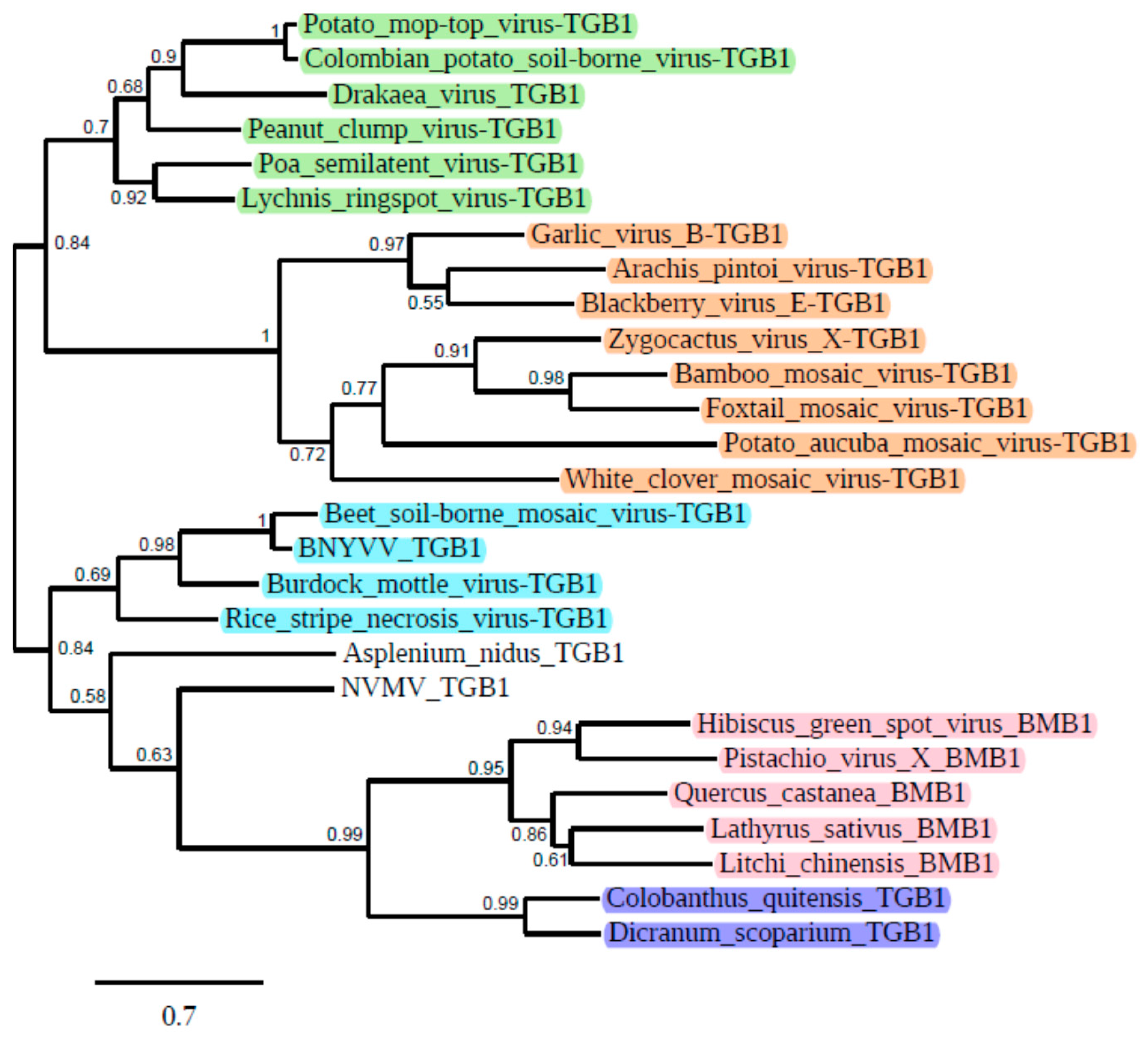 Biomolecules 12 00861 g001