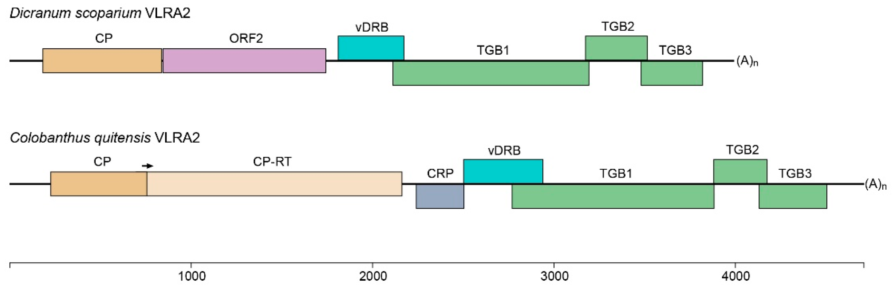 Biomolecules 12 00861 g002