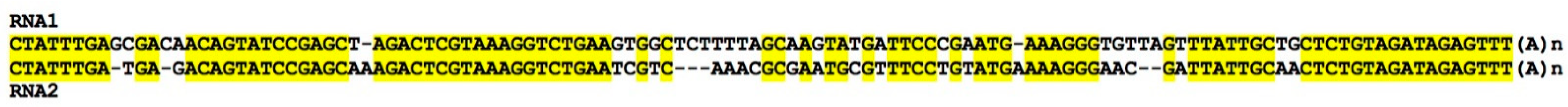 Biomolecules 12 00861 g007
