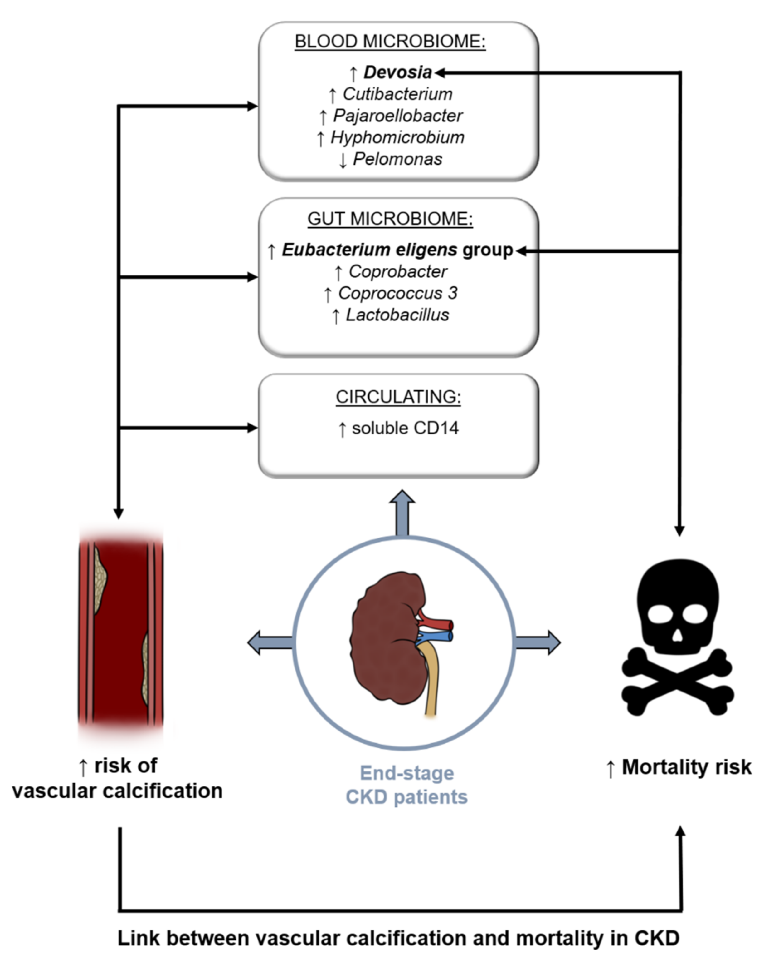 Biomolecules 12 00867 g005
