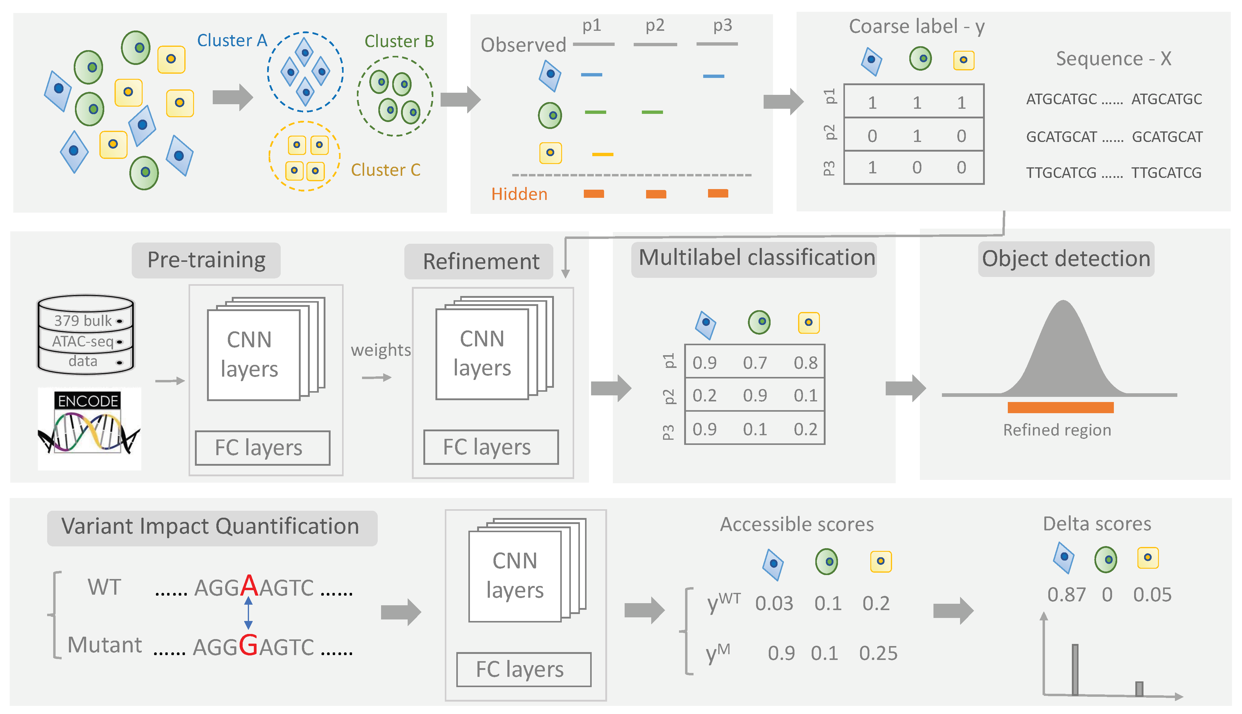 Biomolecules 12 00874 g001
