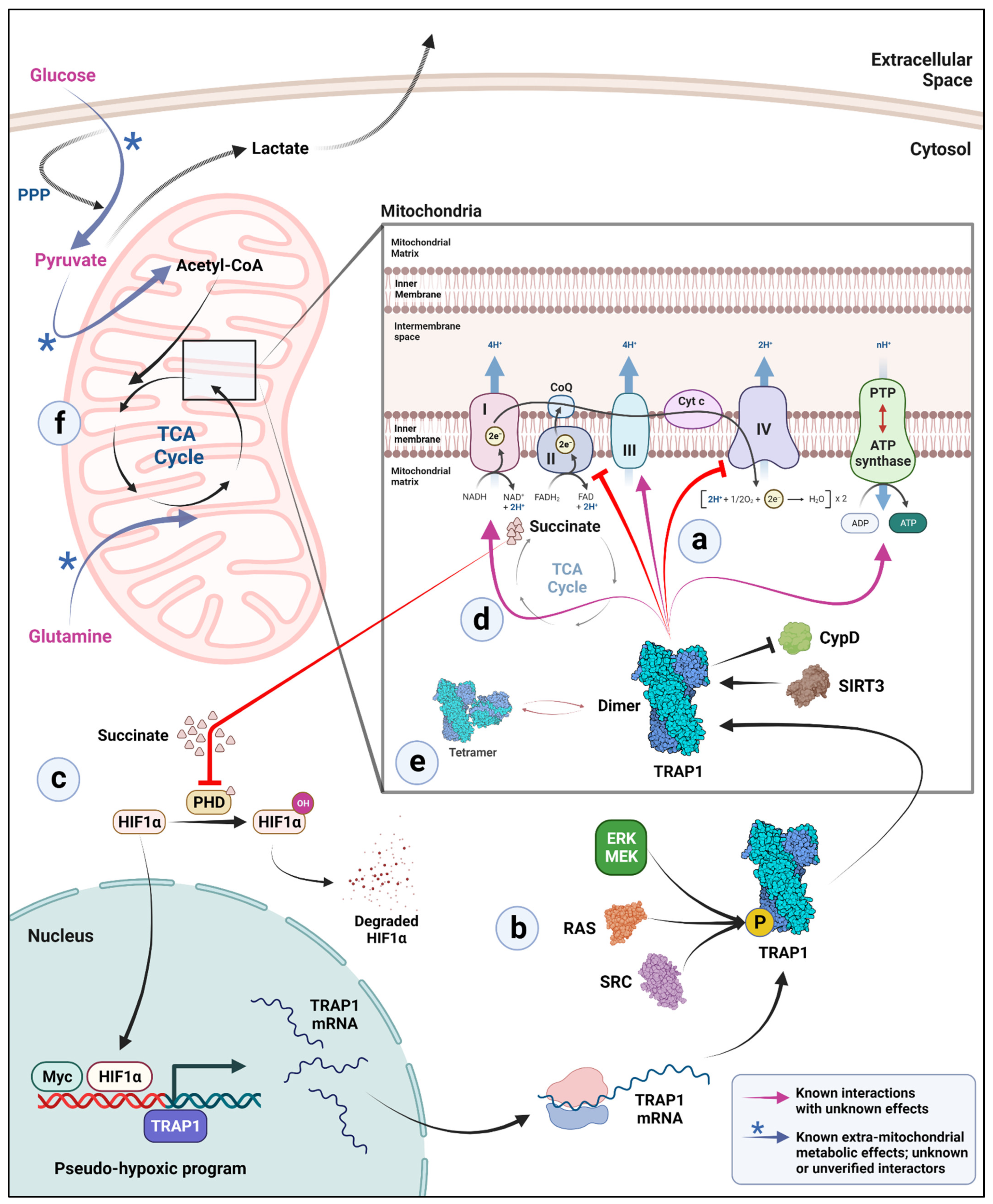 Biomolecules 12 00880 g002 Biomolecules 12 00880 g002