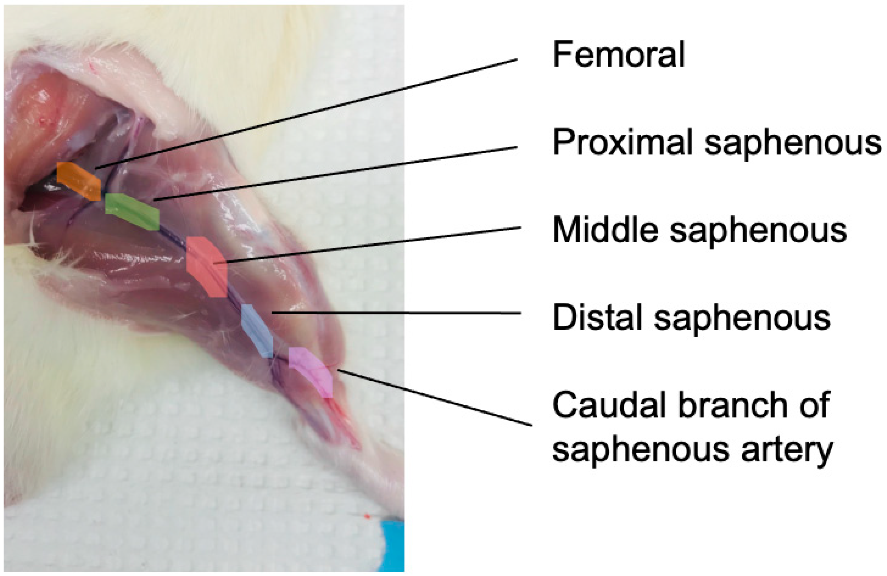 Biomolecules 12 00889 g001