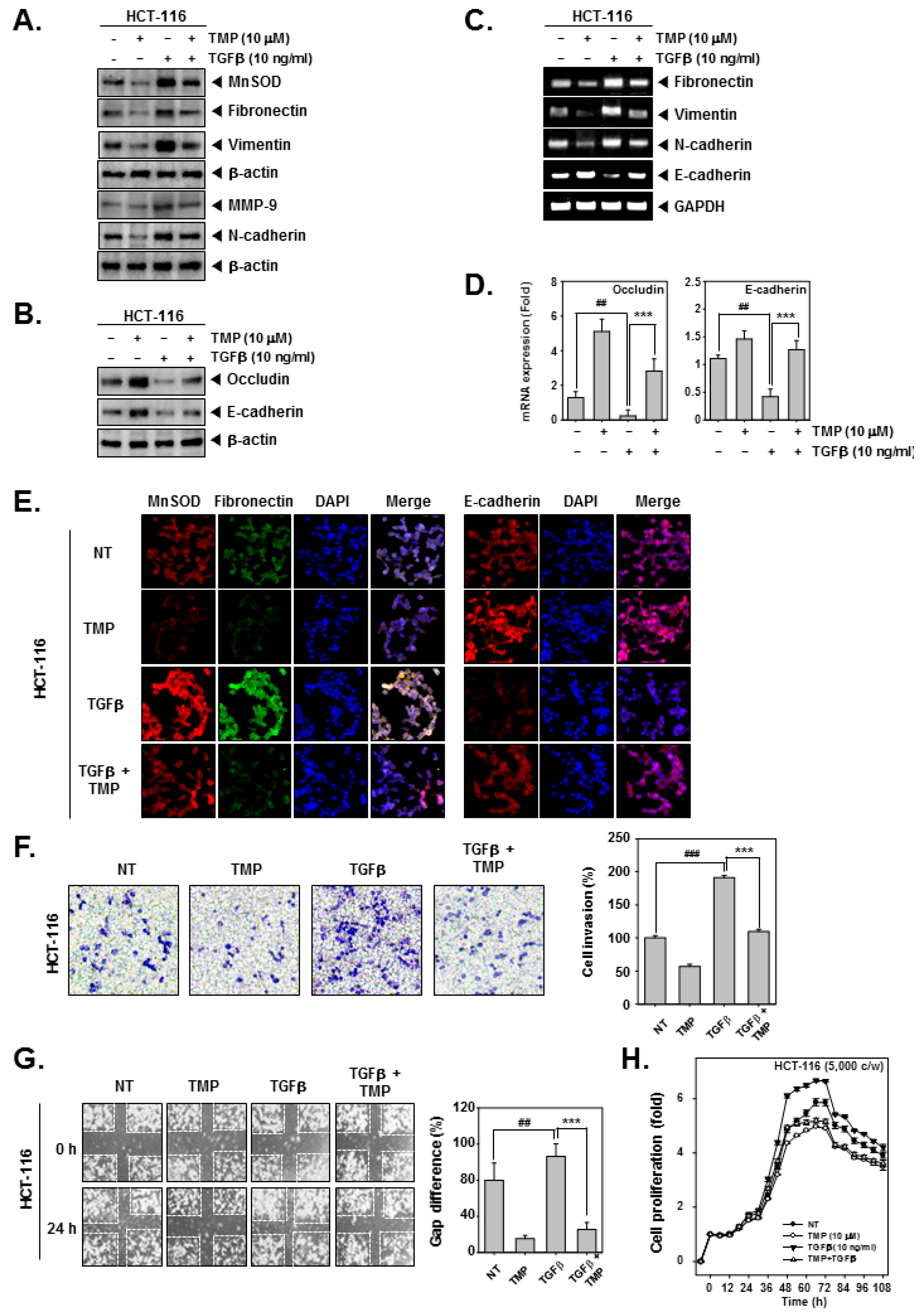 Biomolecules 12 00891 g002