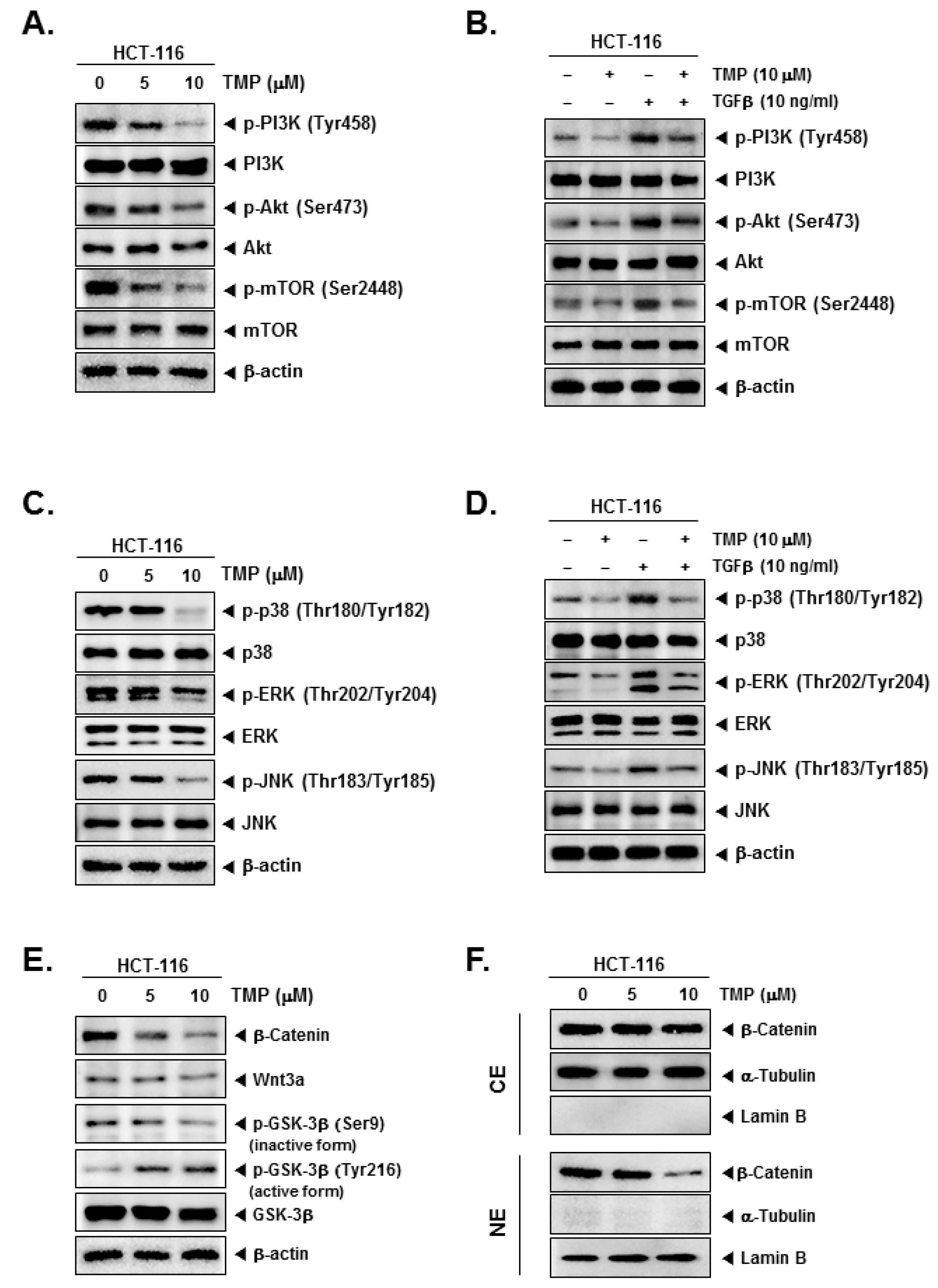 Biomolecules 12 00891 g003