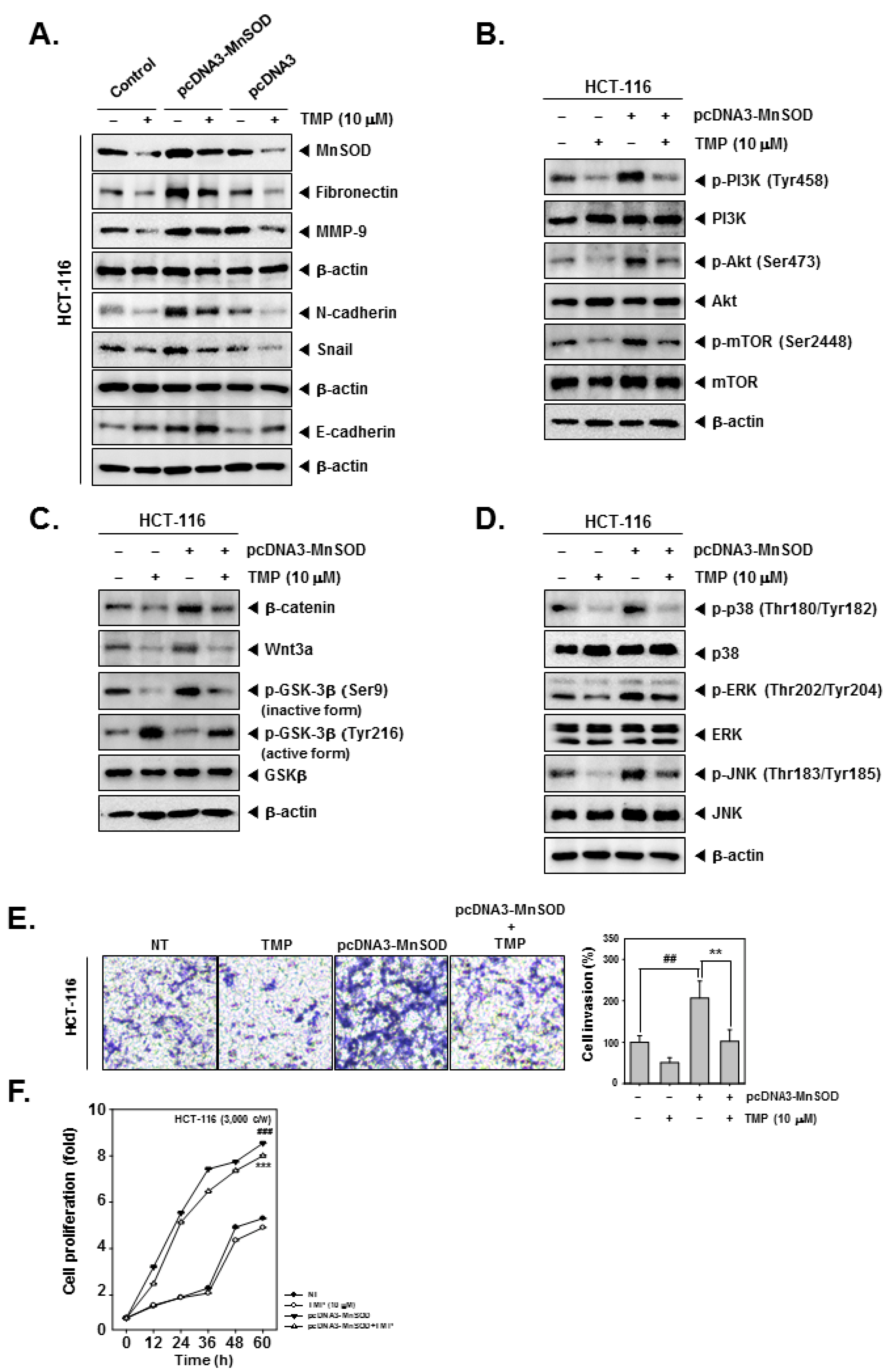 Biomolecules 12 00891 g004