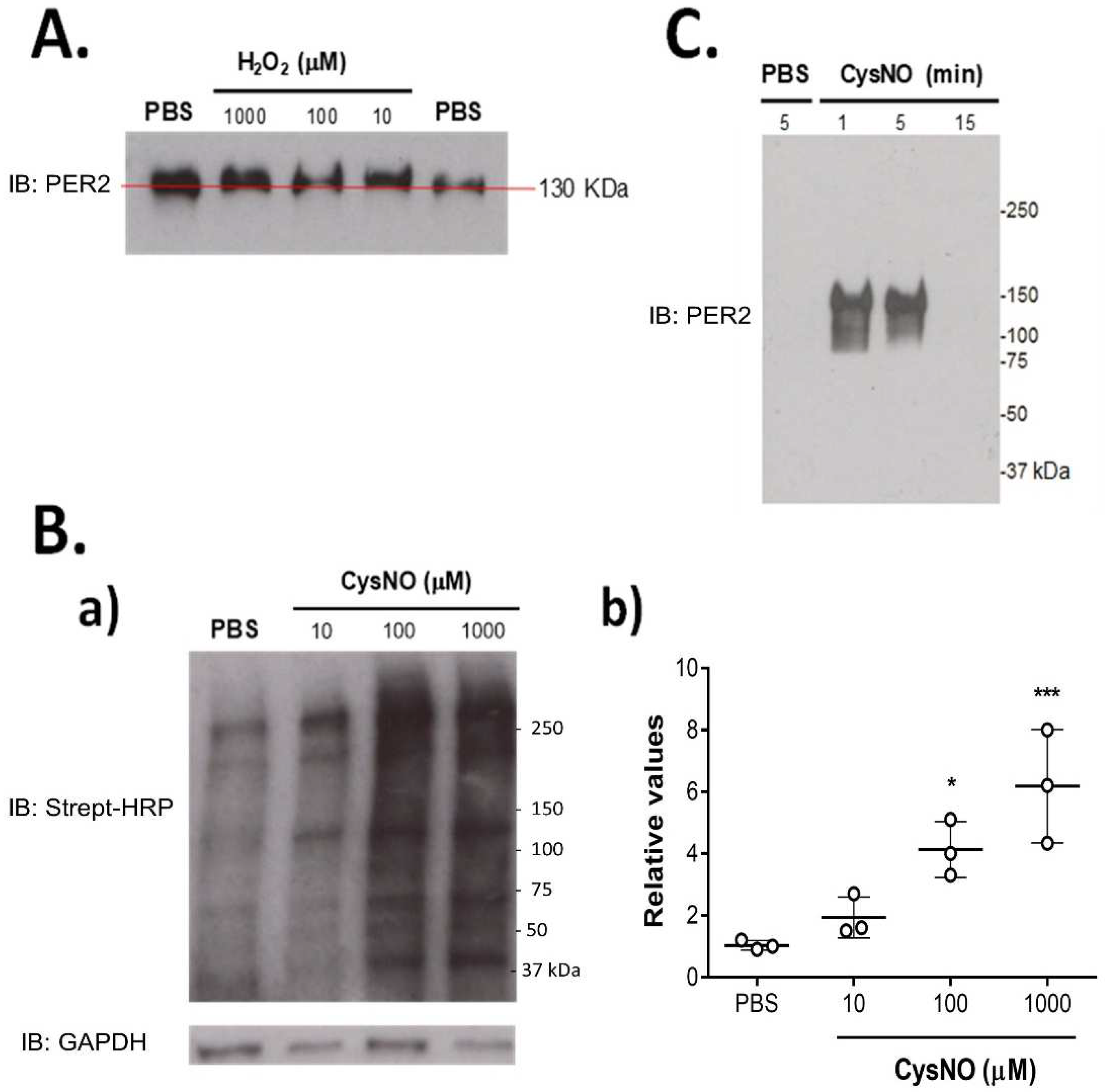 Biomolecules 12 00892 g001
