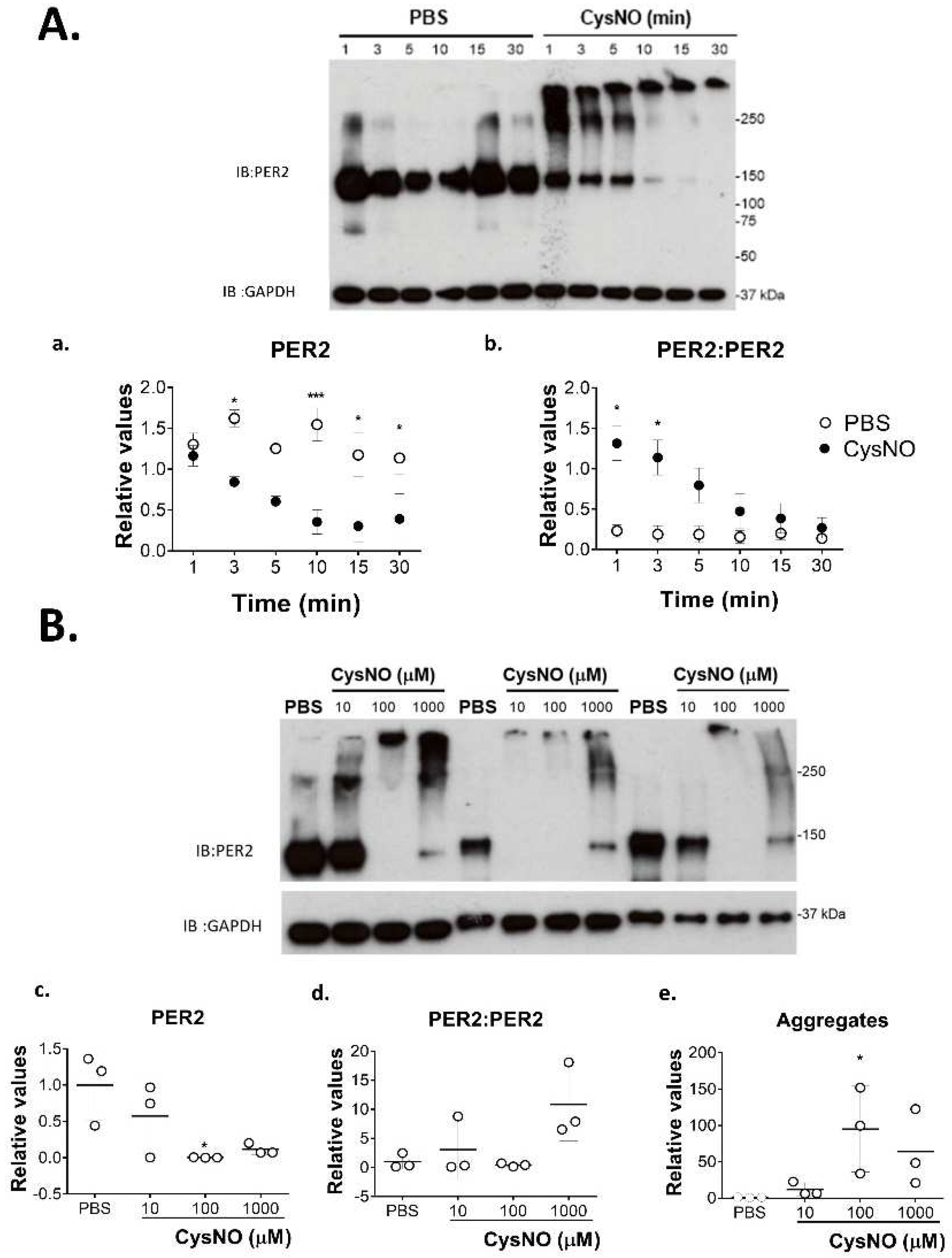 Biomolecules 12 00892 g002