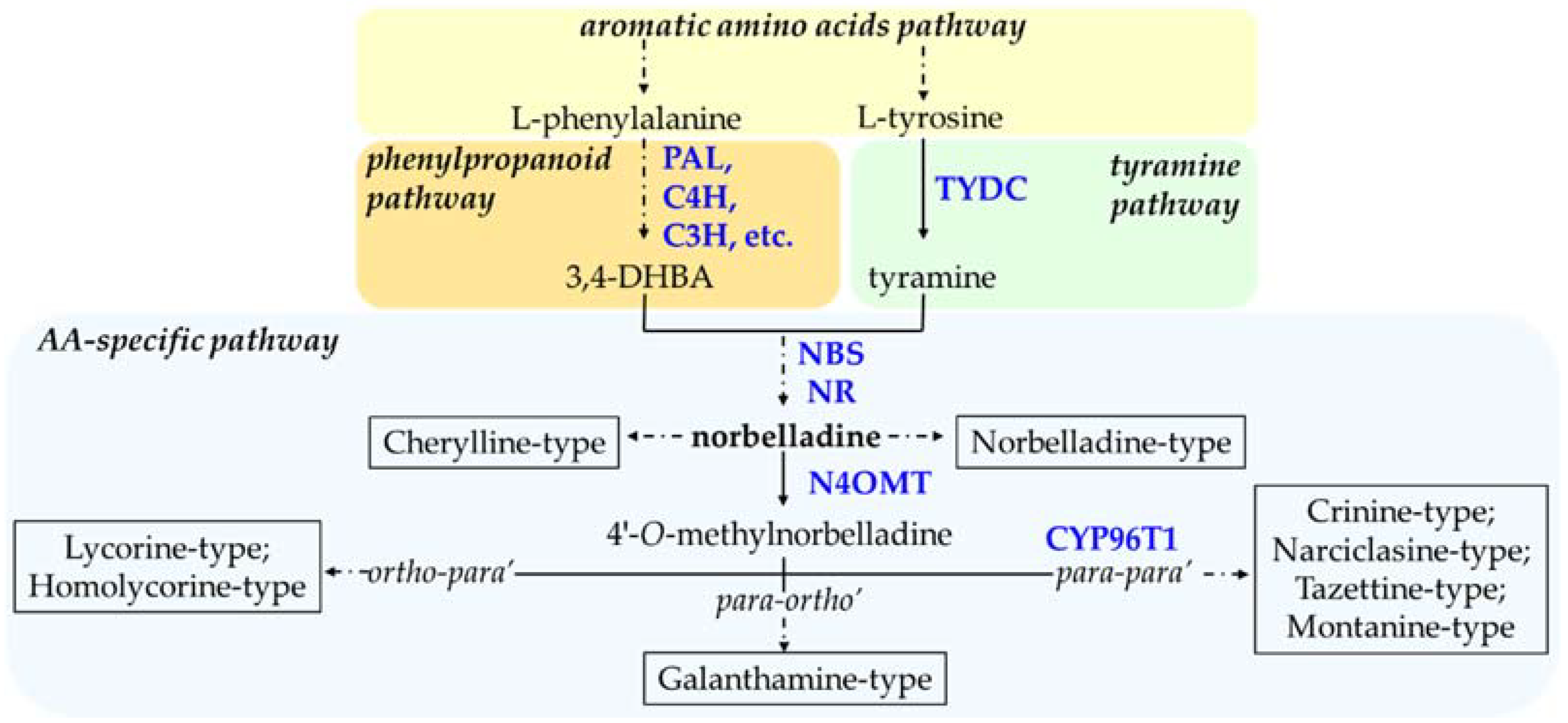 Biomolecules 12 00893 g002 Biomolecules 12 00893 g002