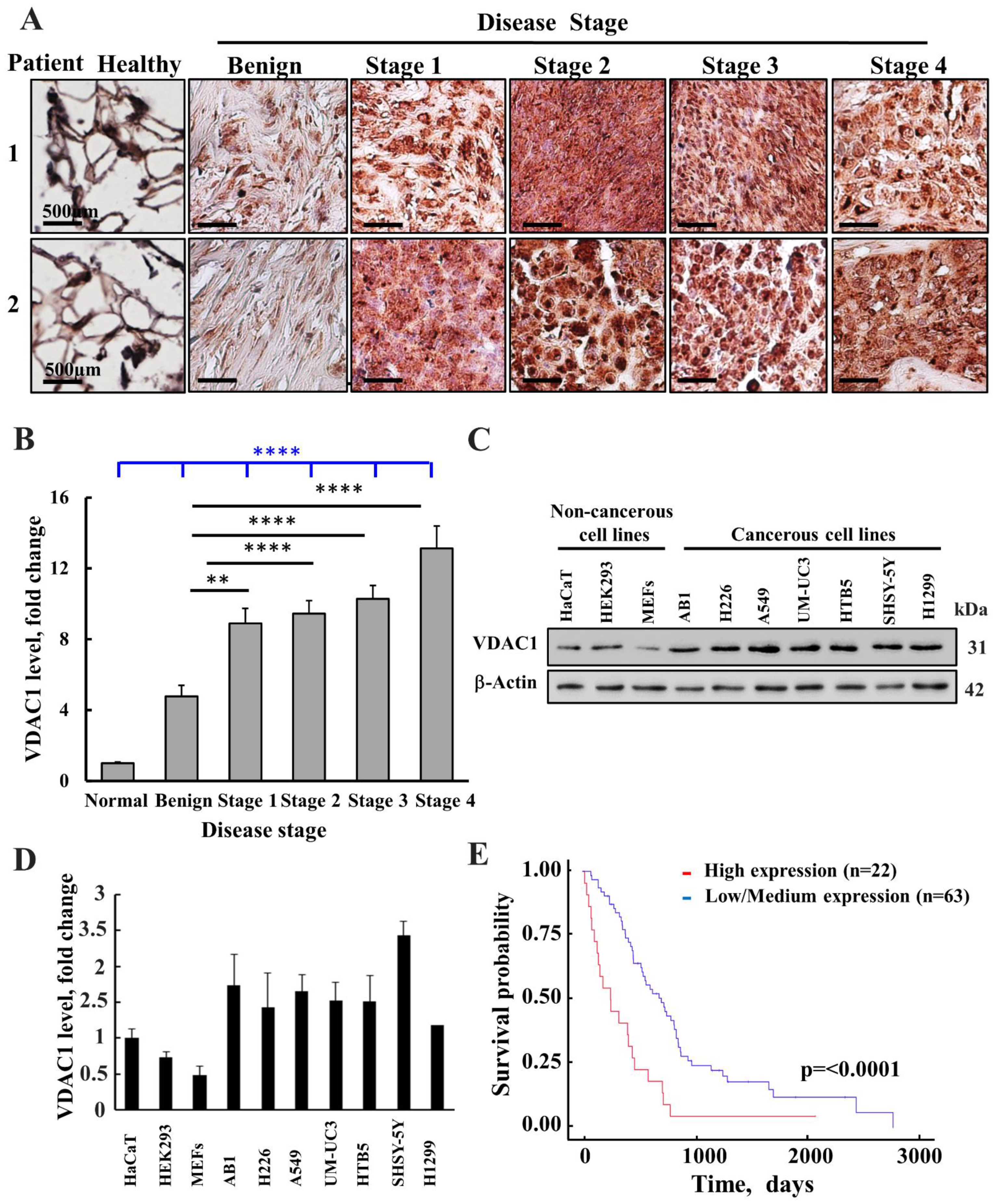Biomolecules 12 00895 g001