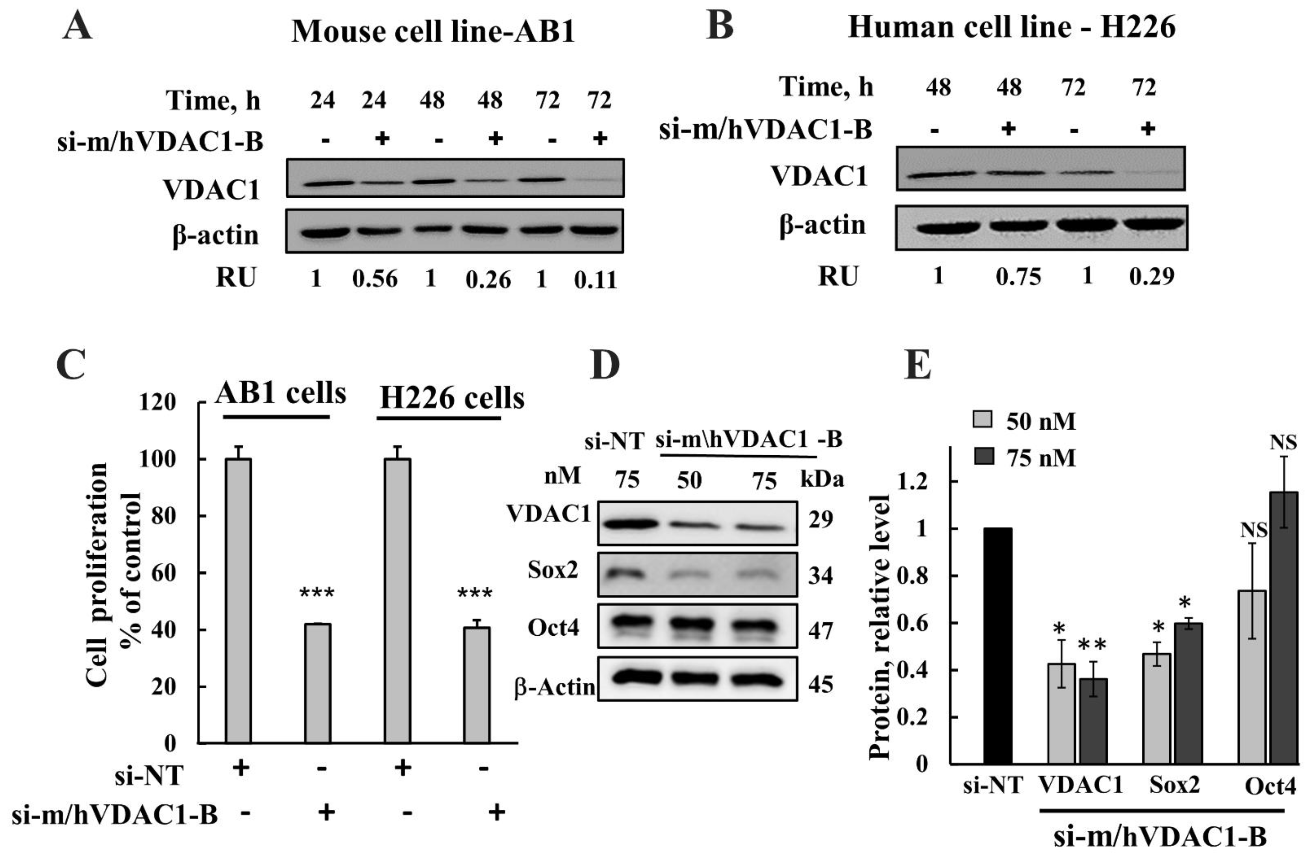 Biomolecules 12 00895 g002