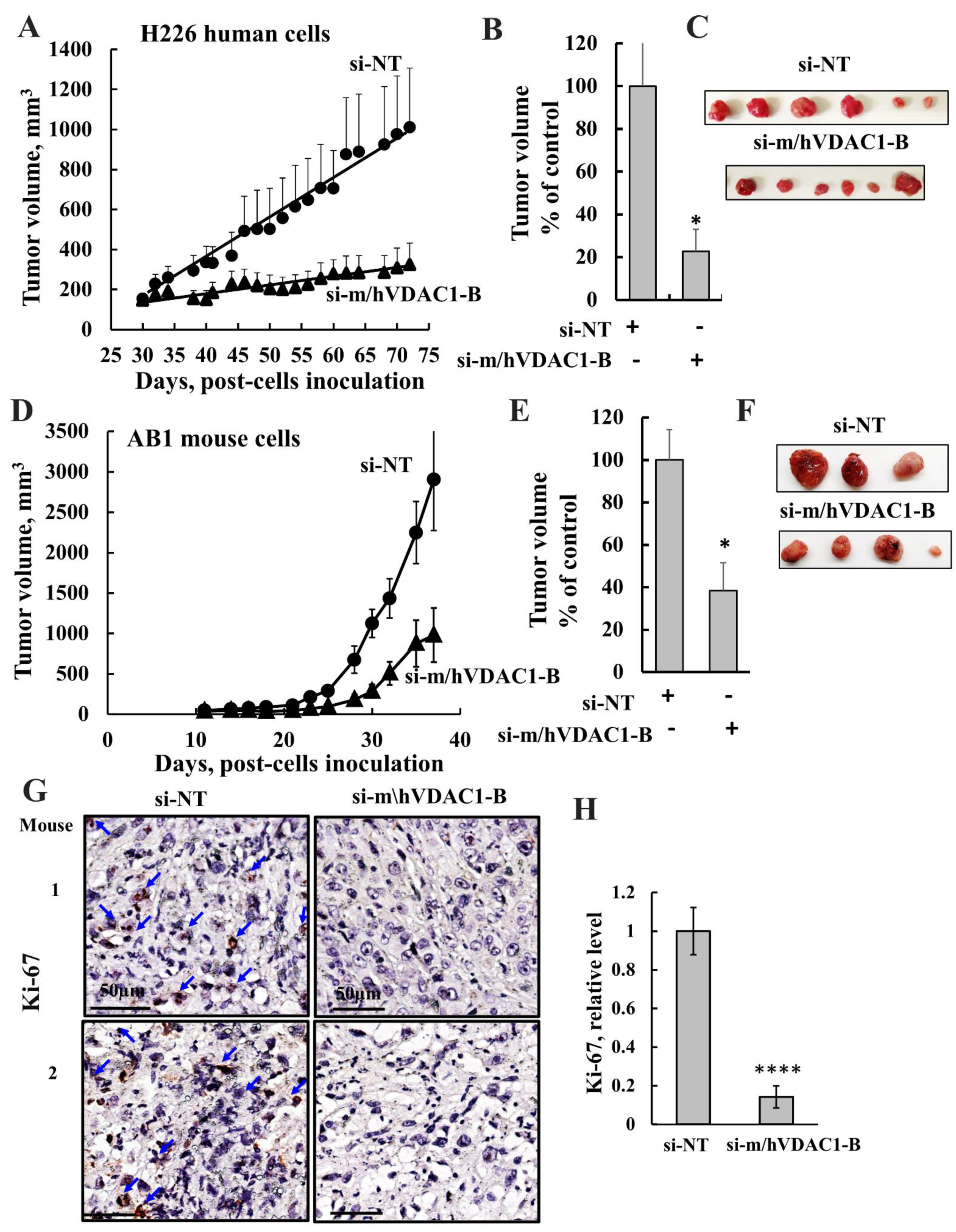 Biomolecules 12 00895 g003