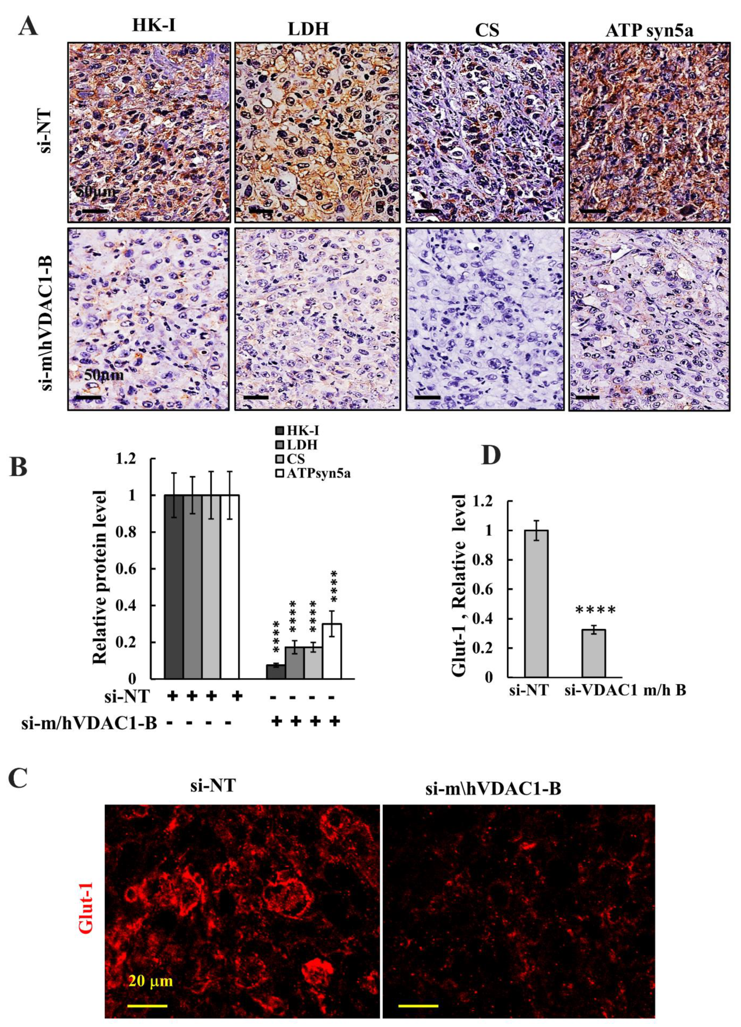 Biomolecules 12 00895 g005