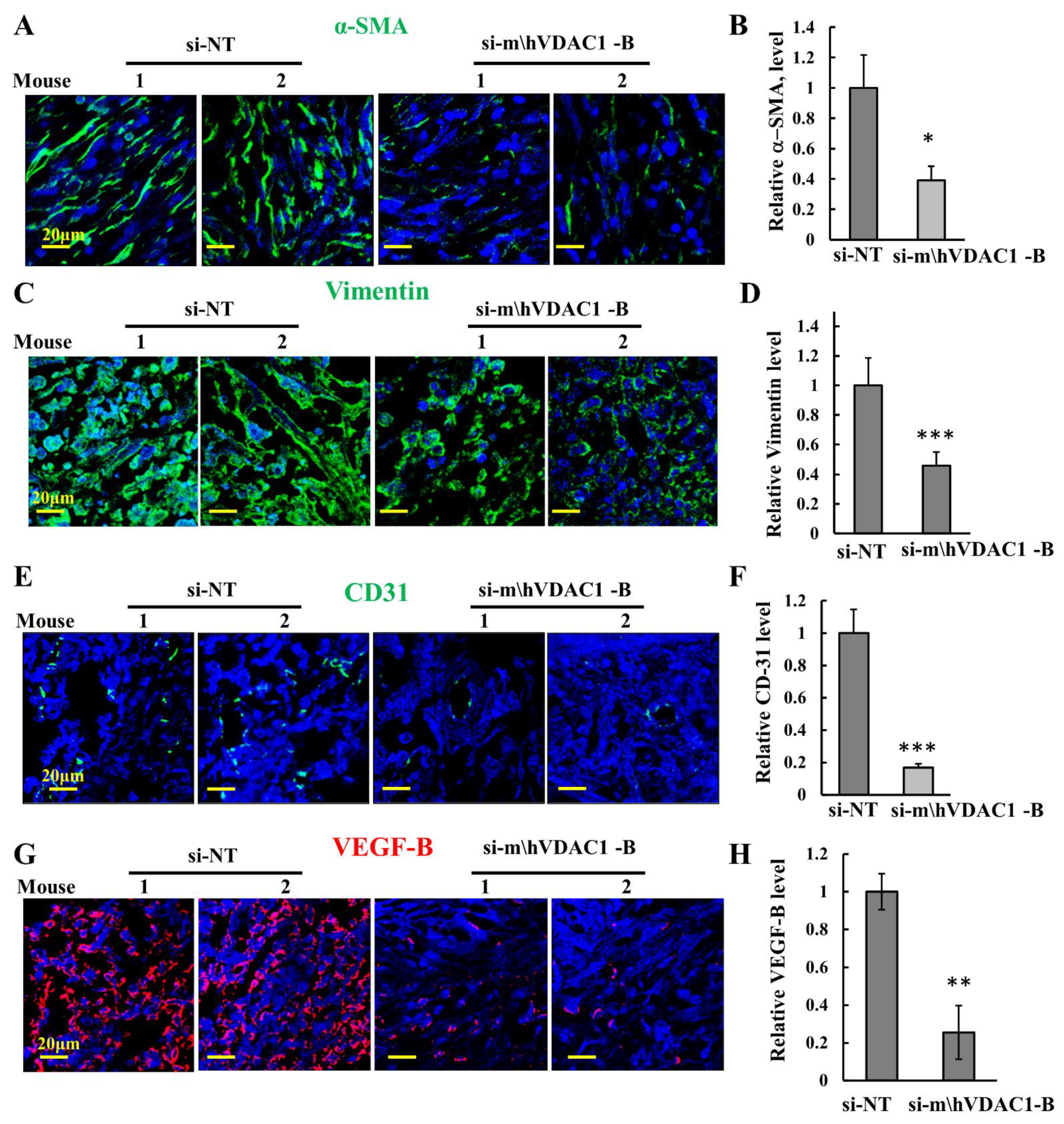 Biomolecules 12 00895 g006