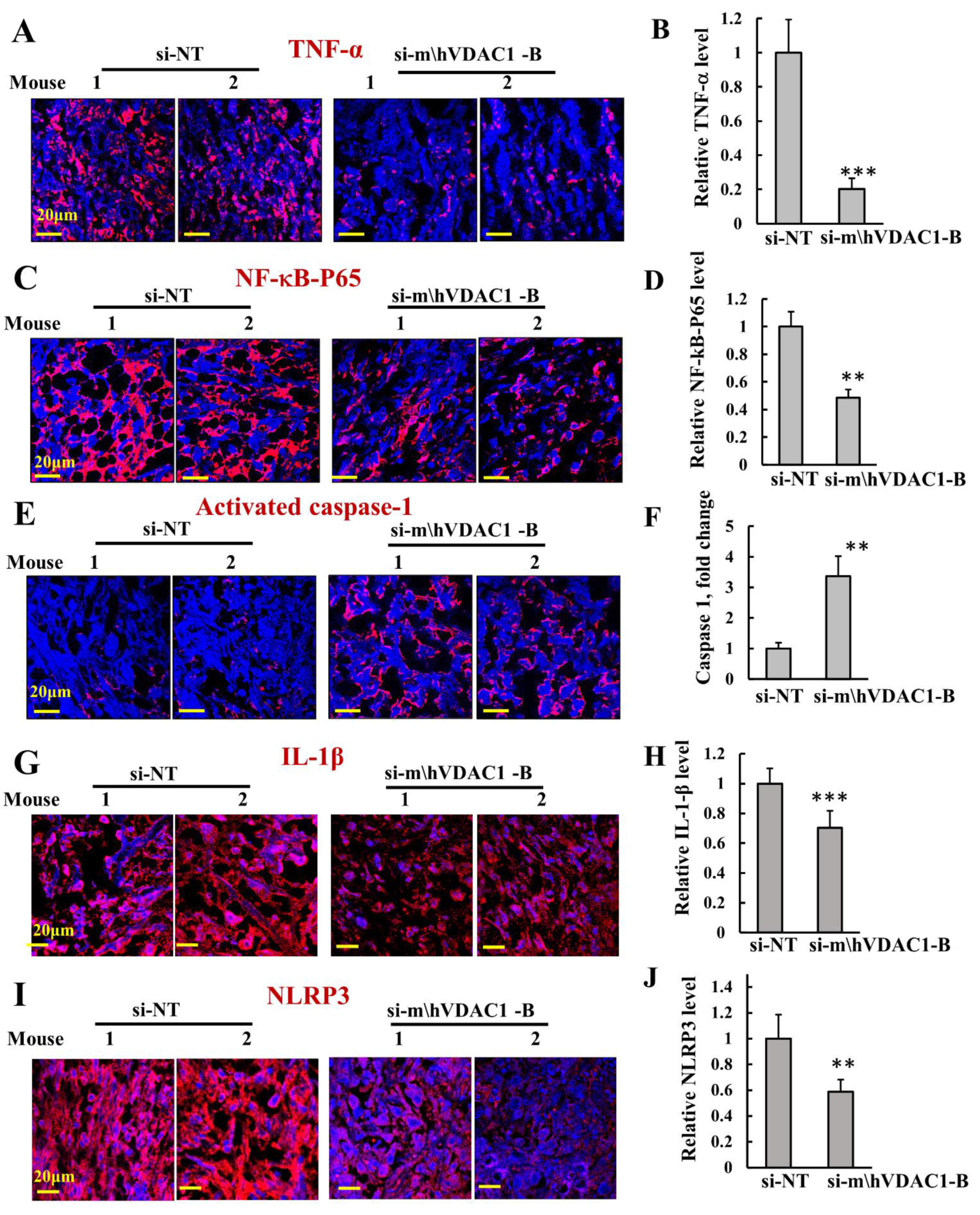 Biomolecules 12 00895 g007