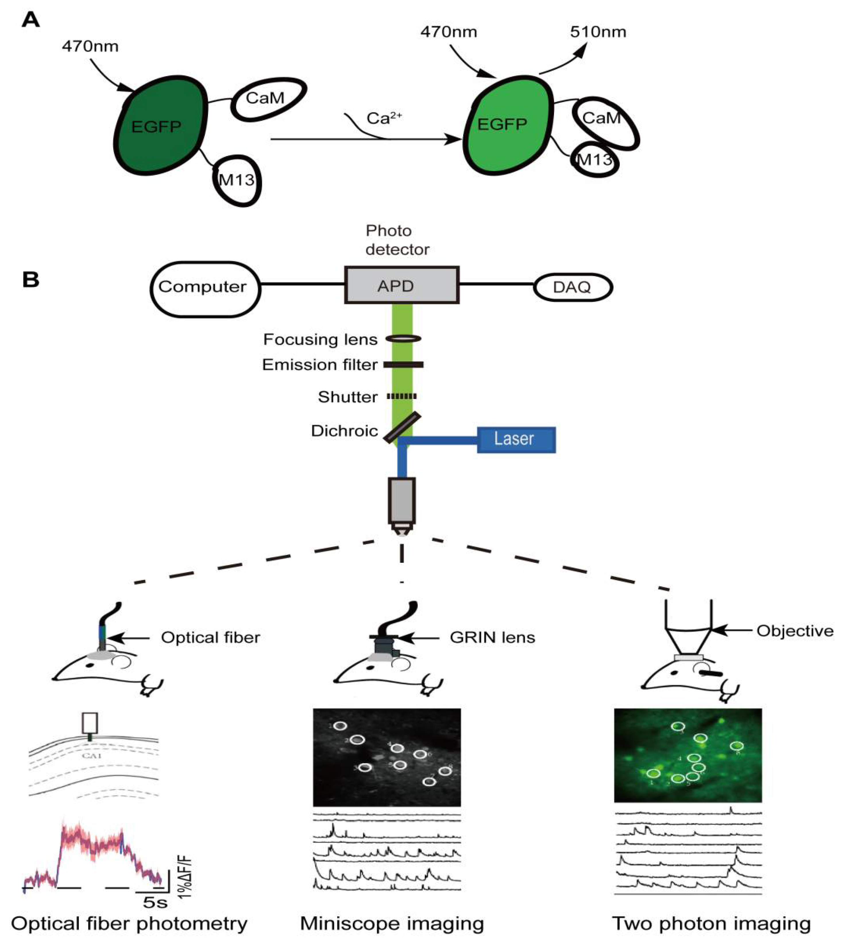 Biomolecules 12 00898 g001