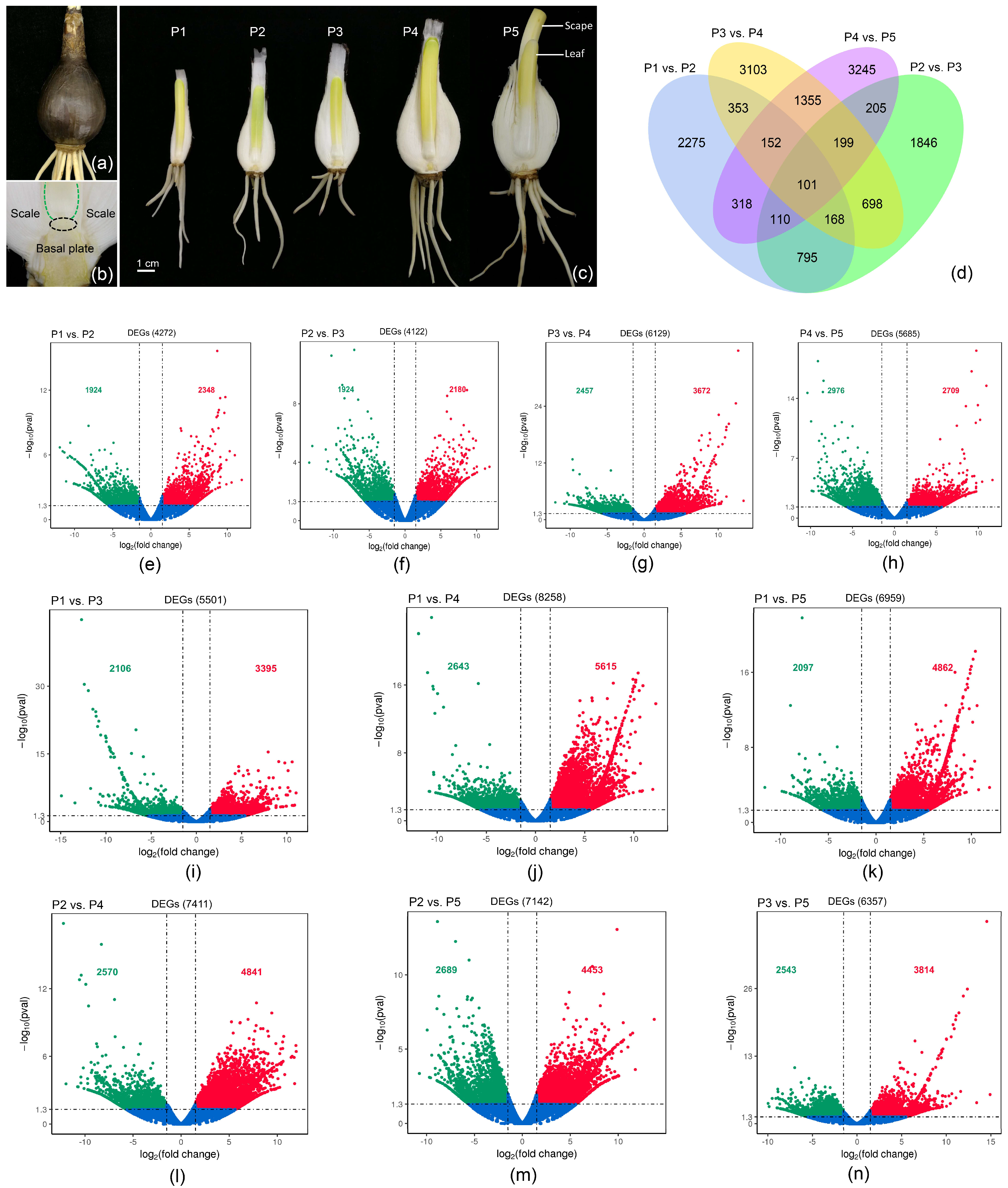 Biomolecules 12 00899 g001