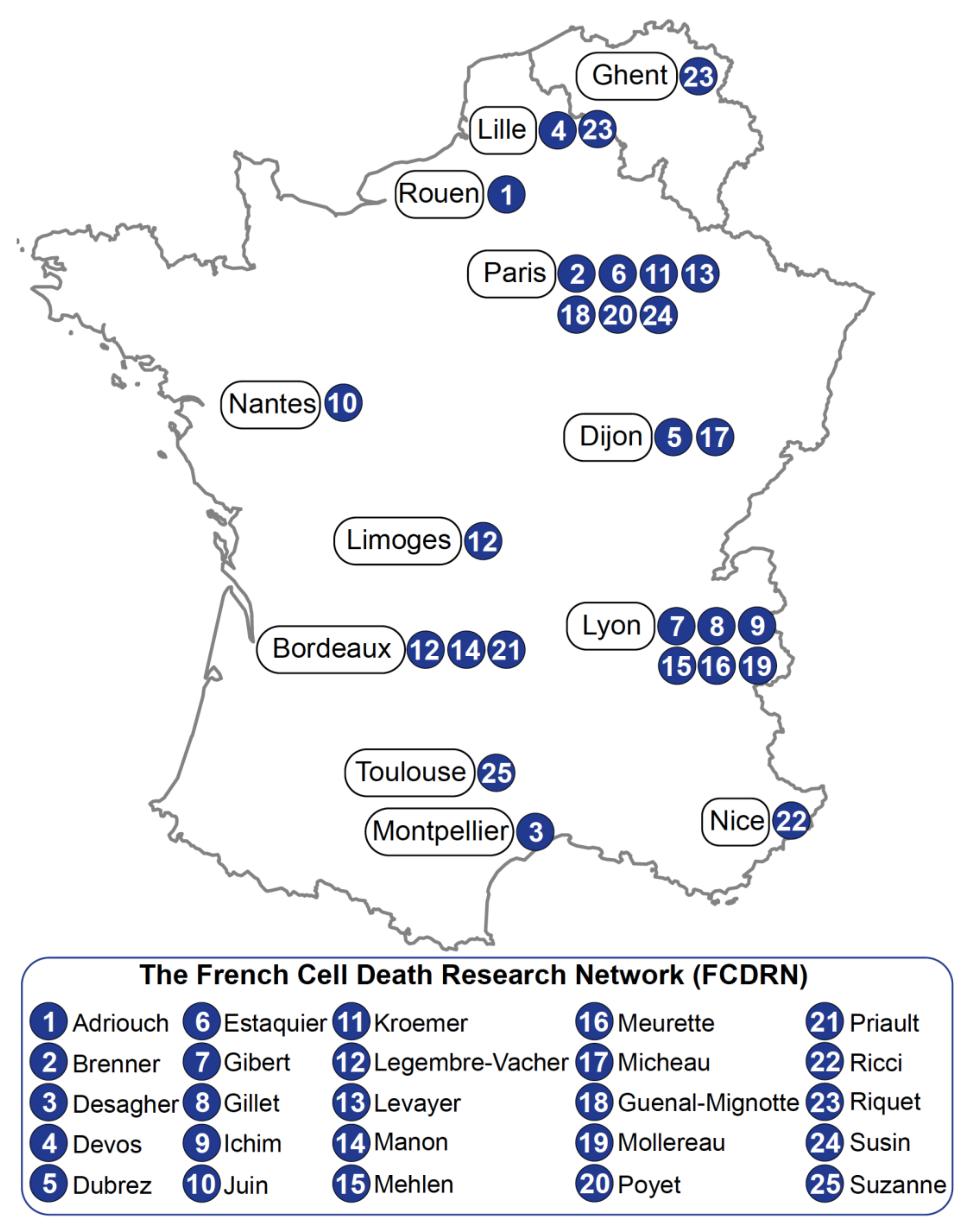 Biomolecules 12 00901 g001