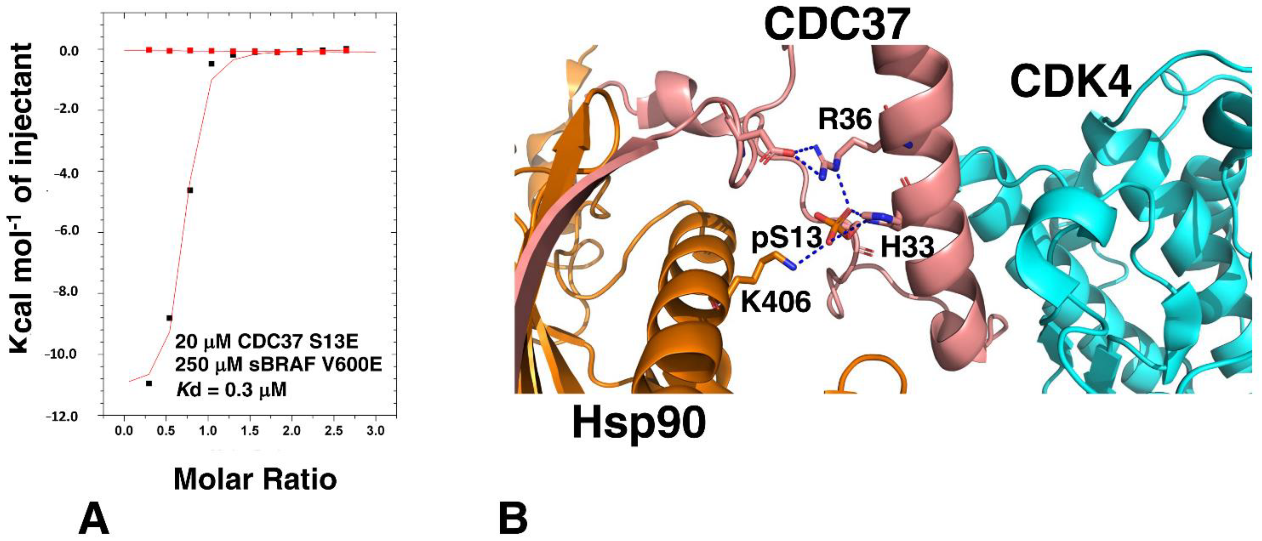 Biomolecules 12 00905 g006