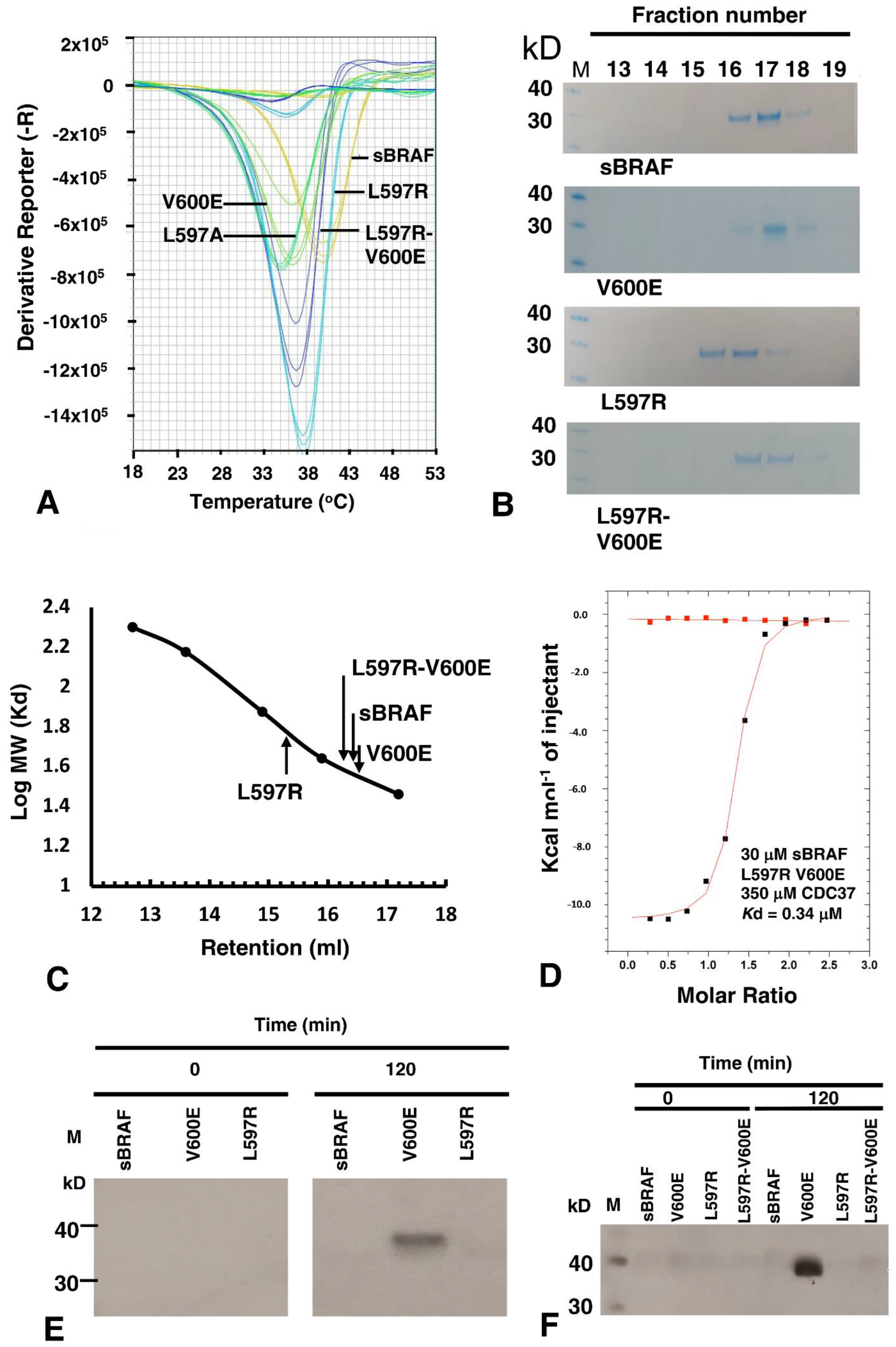 Biomolecules 12 00905 g011