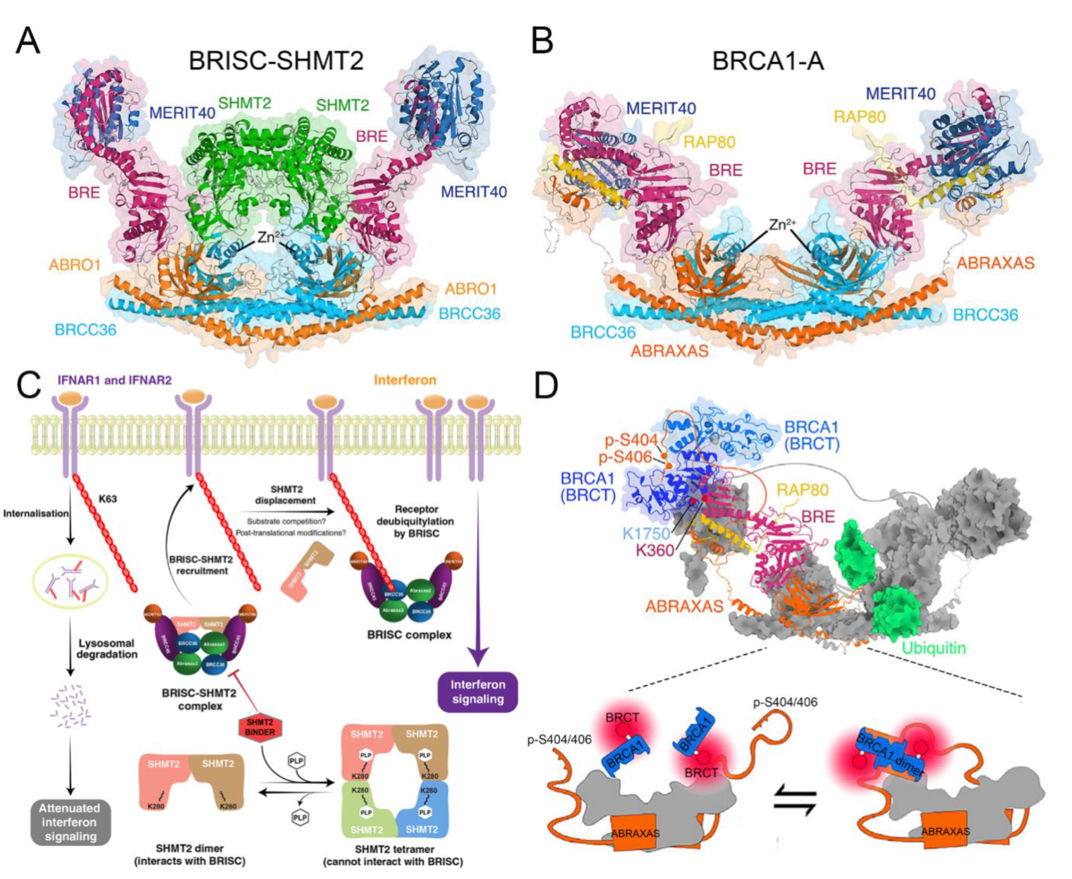 Biomolecules 12 00910 g005 Biomolecules 12 00910 g005