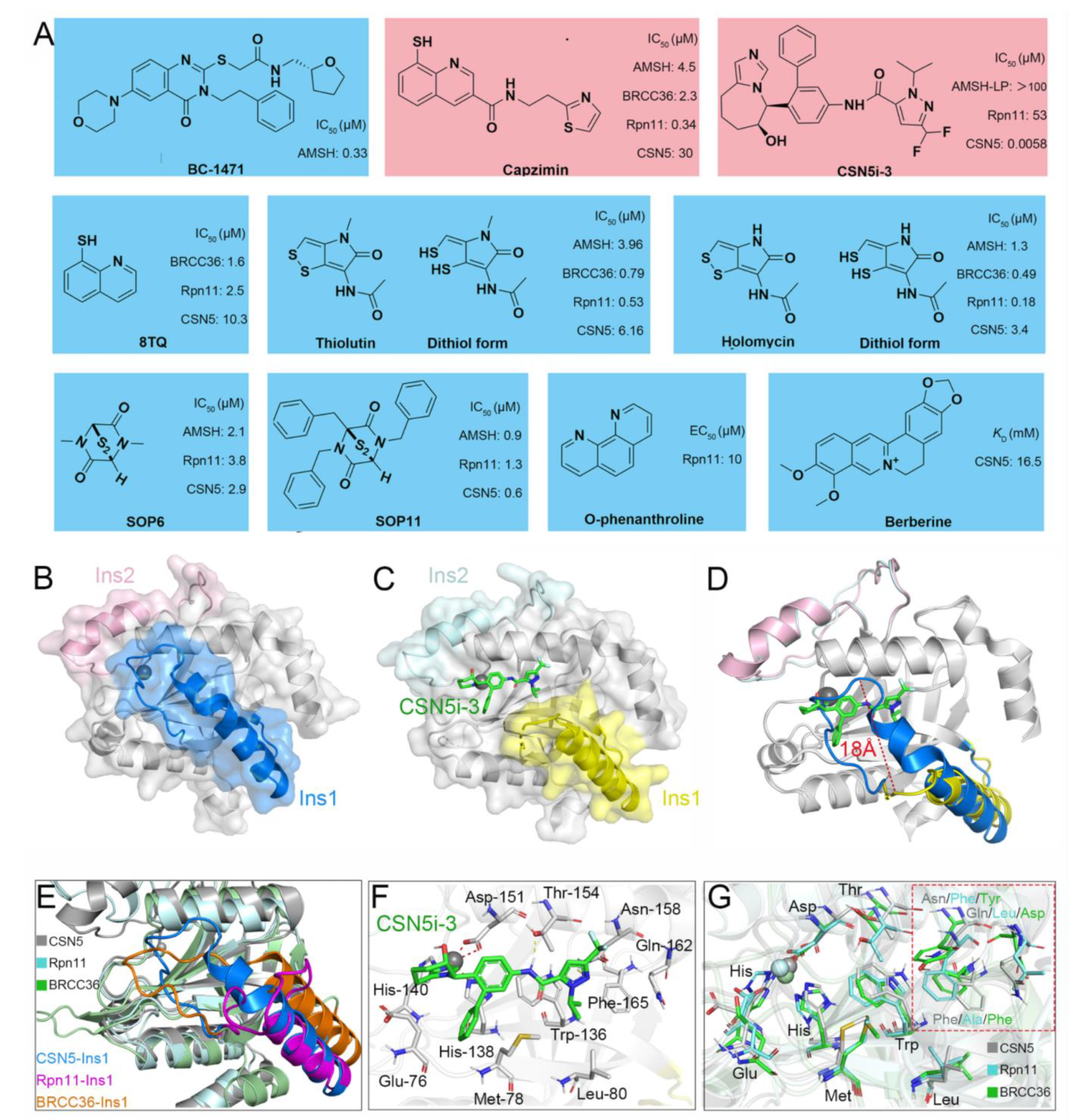 Biomolecules 12 00910 g008 Biomolecules 12 00910 g008