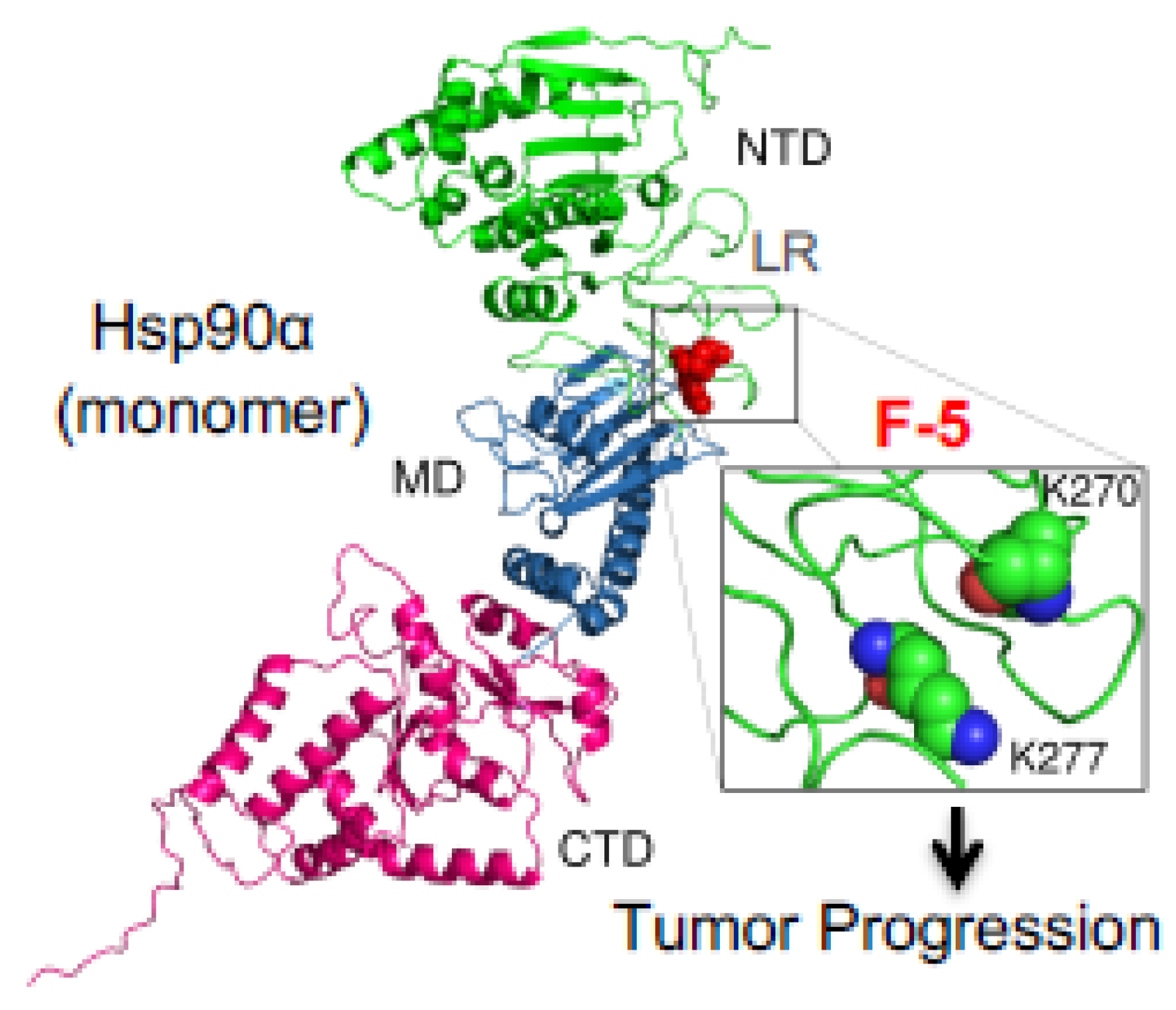 Biomolecules 12 00911 g003