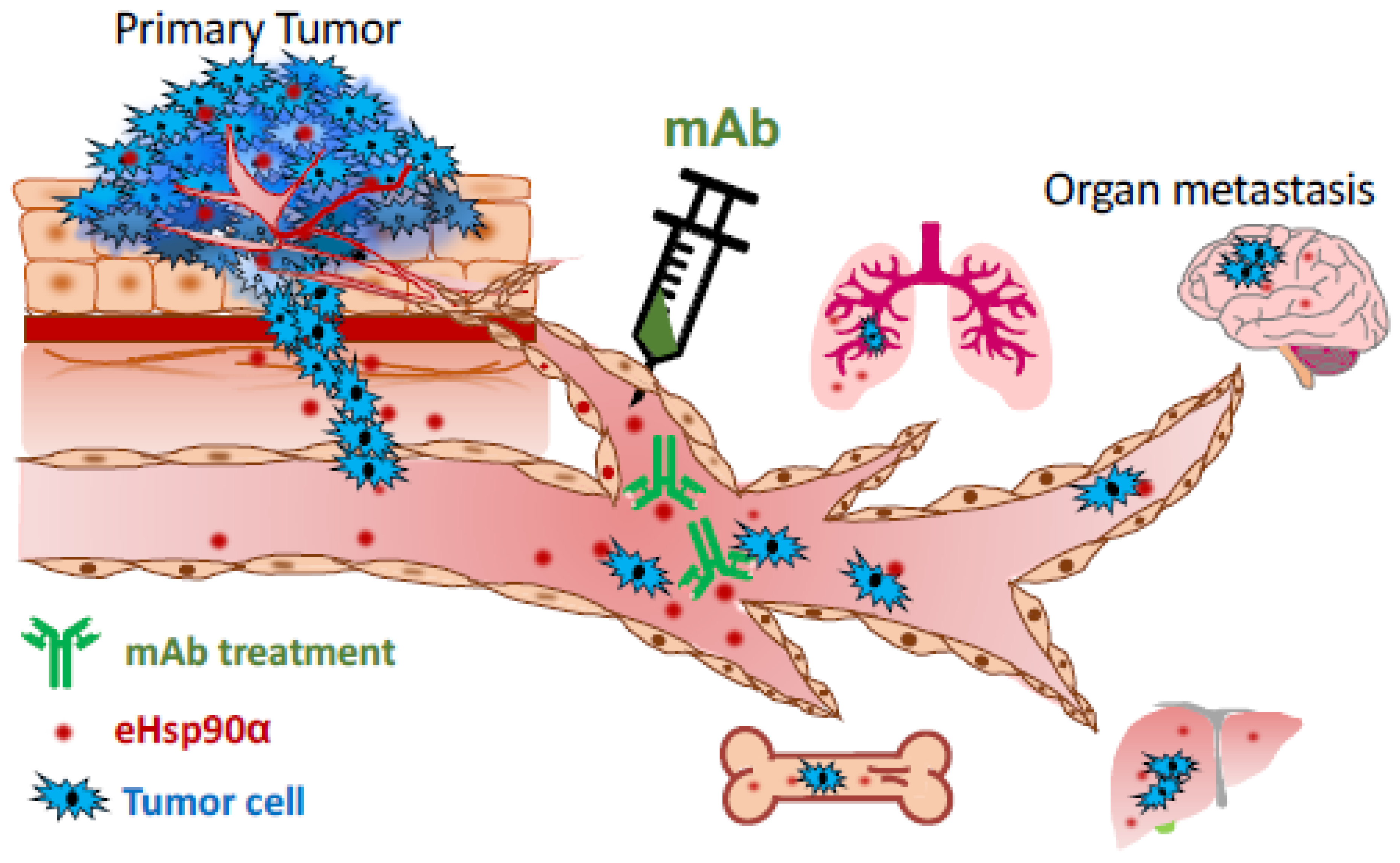 Biomolecules 12 00911 g005