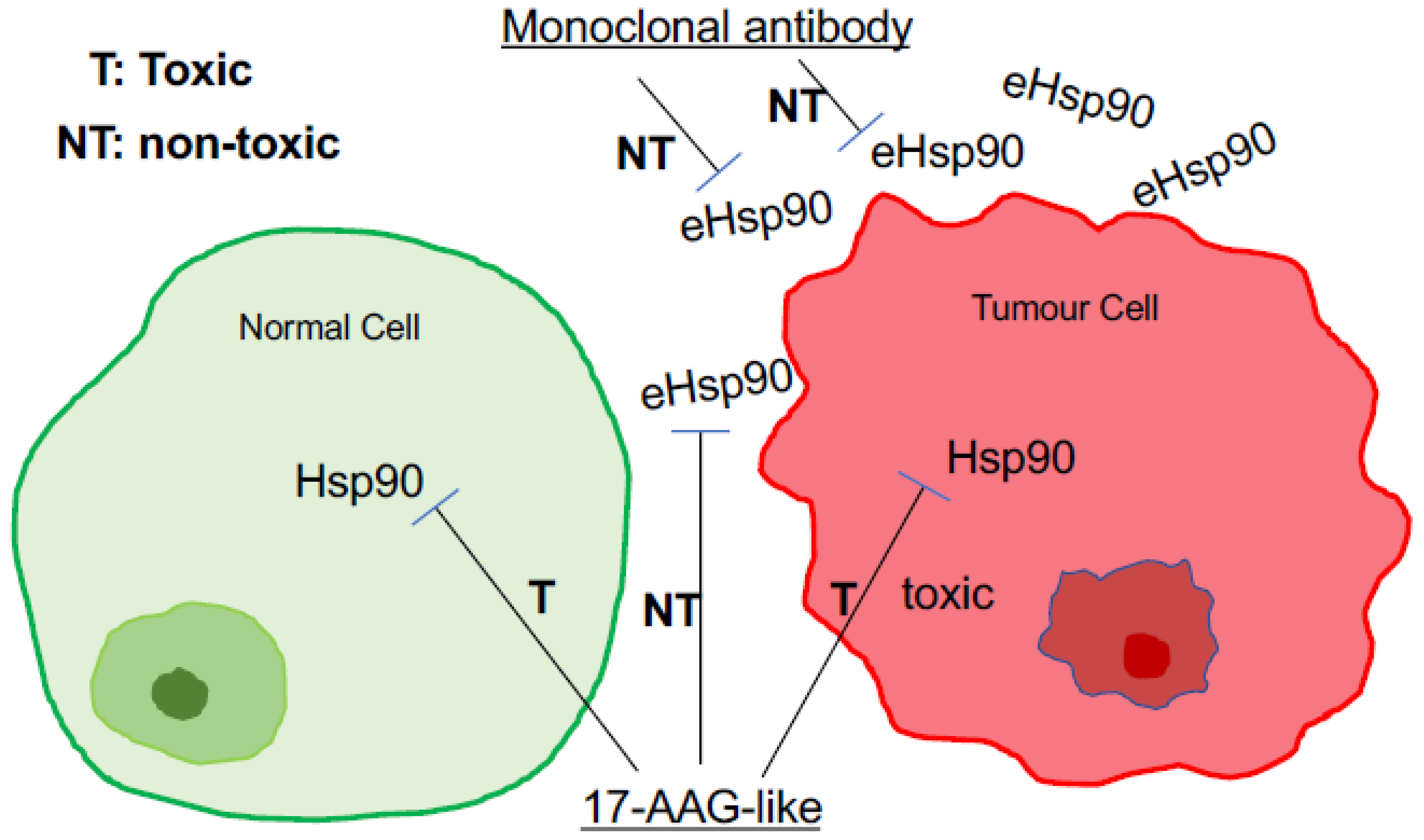 Biomolecules 12 00911 g006