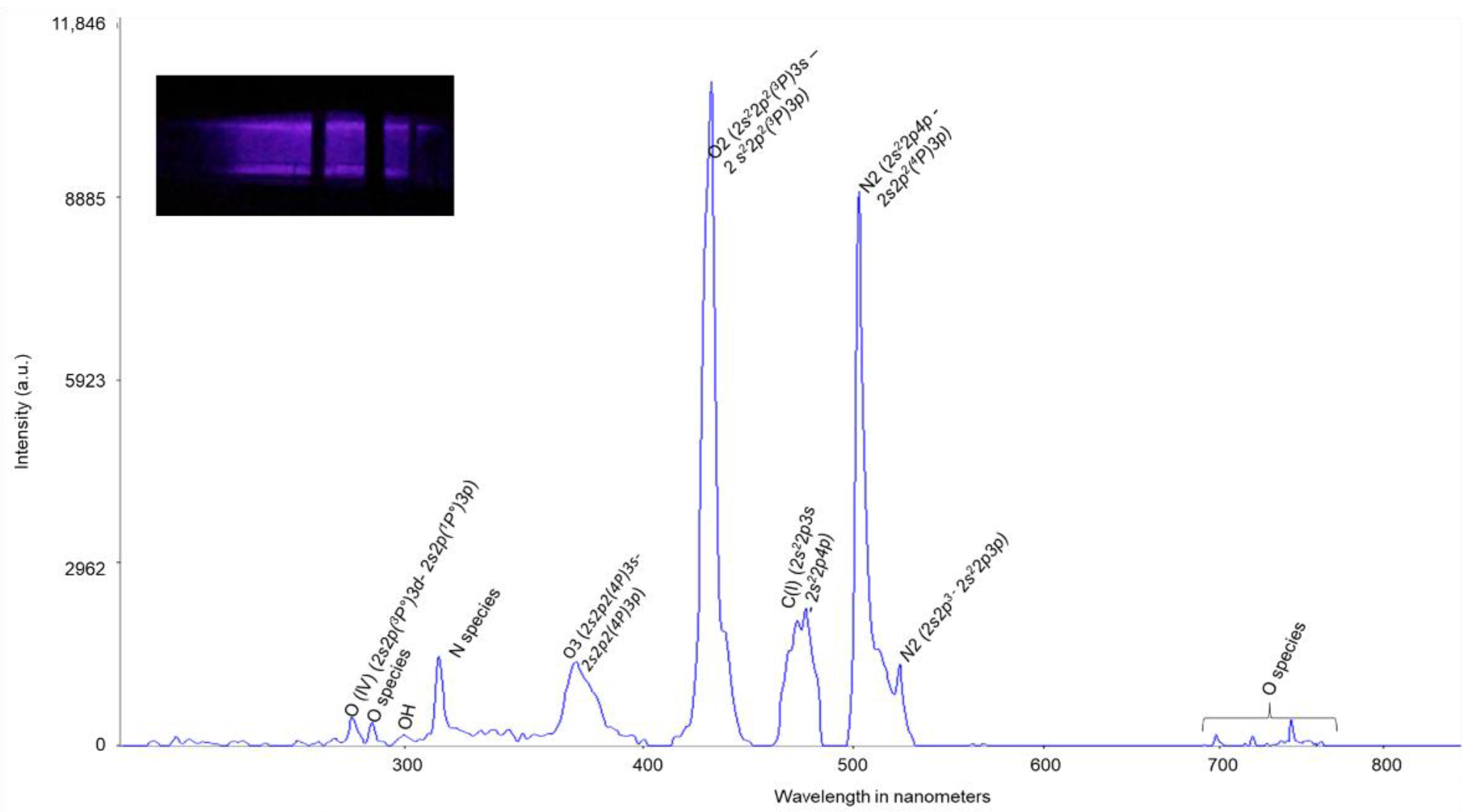 Biomolecules 12 00913 g002