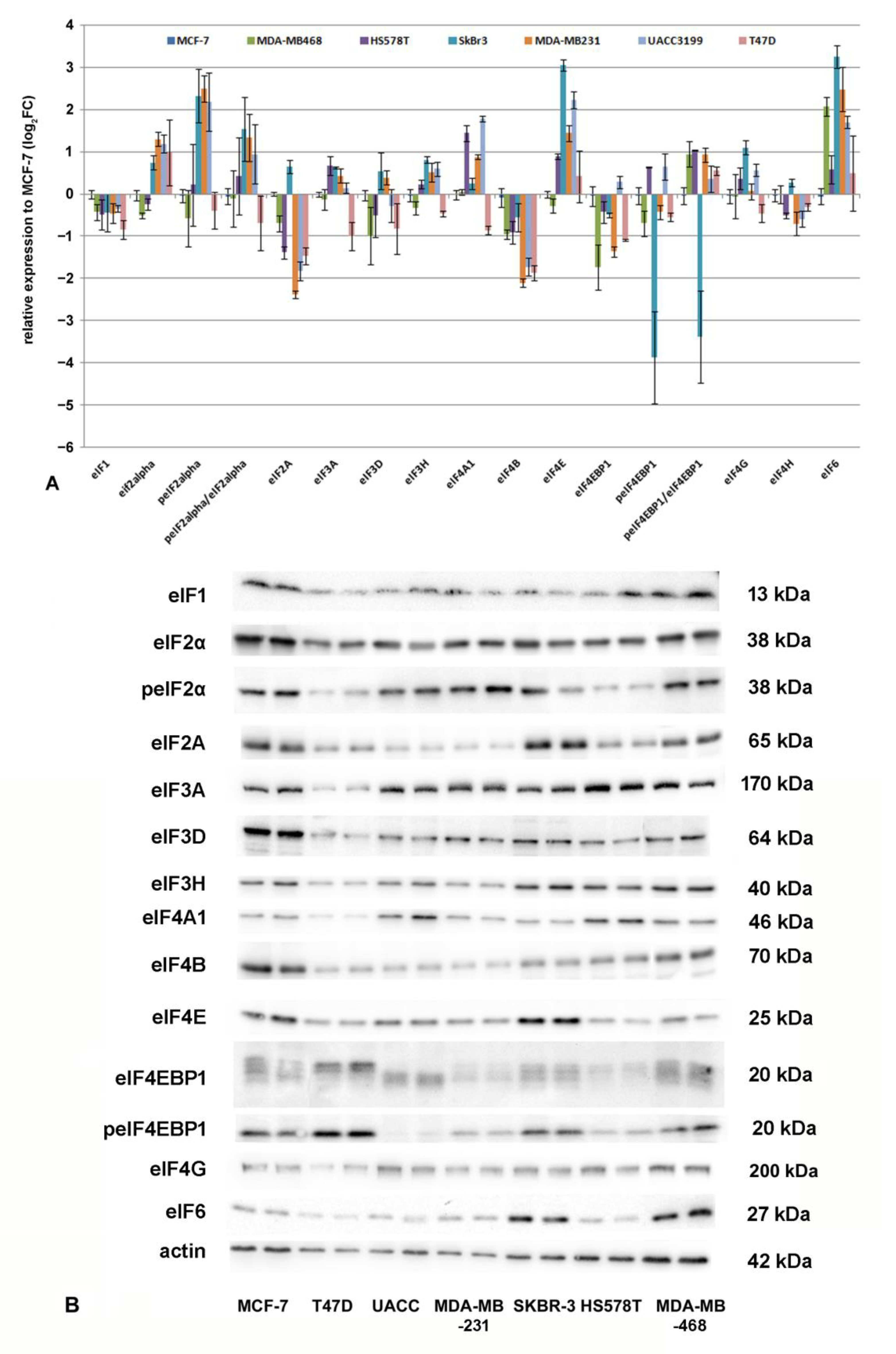 Biomolecules 12 00916 g006 Biomolecules 12 00916 g006